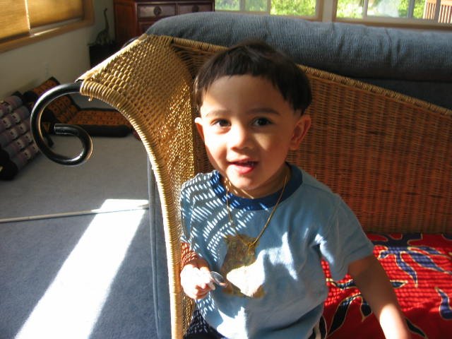 2005-5-3 COKIE IN HOUSE (4).jpg
