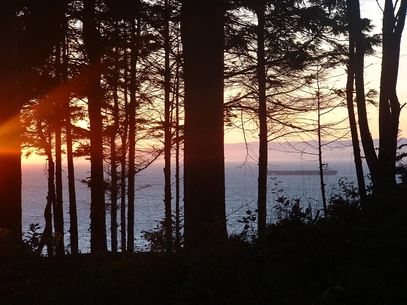 2003-8-1 WASHINGTON VISIT FROM ROBINSONS ET AL (13).JPG