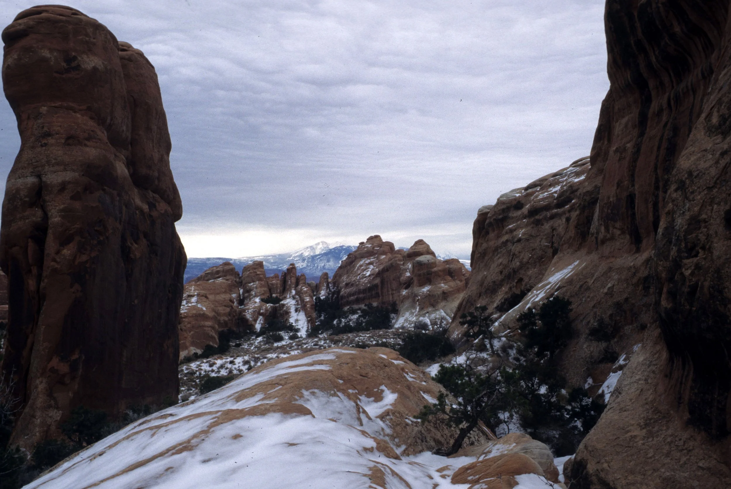 UTAH - ARCHES NP F.jpg
