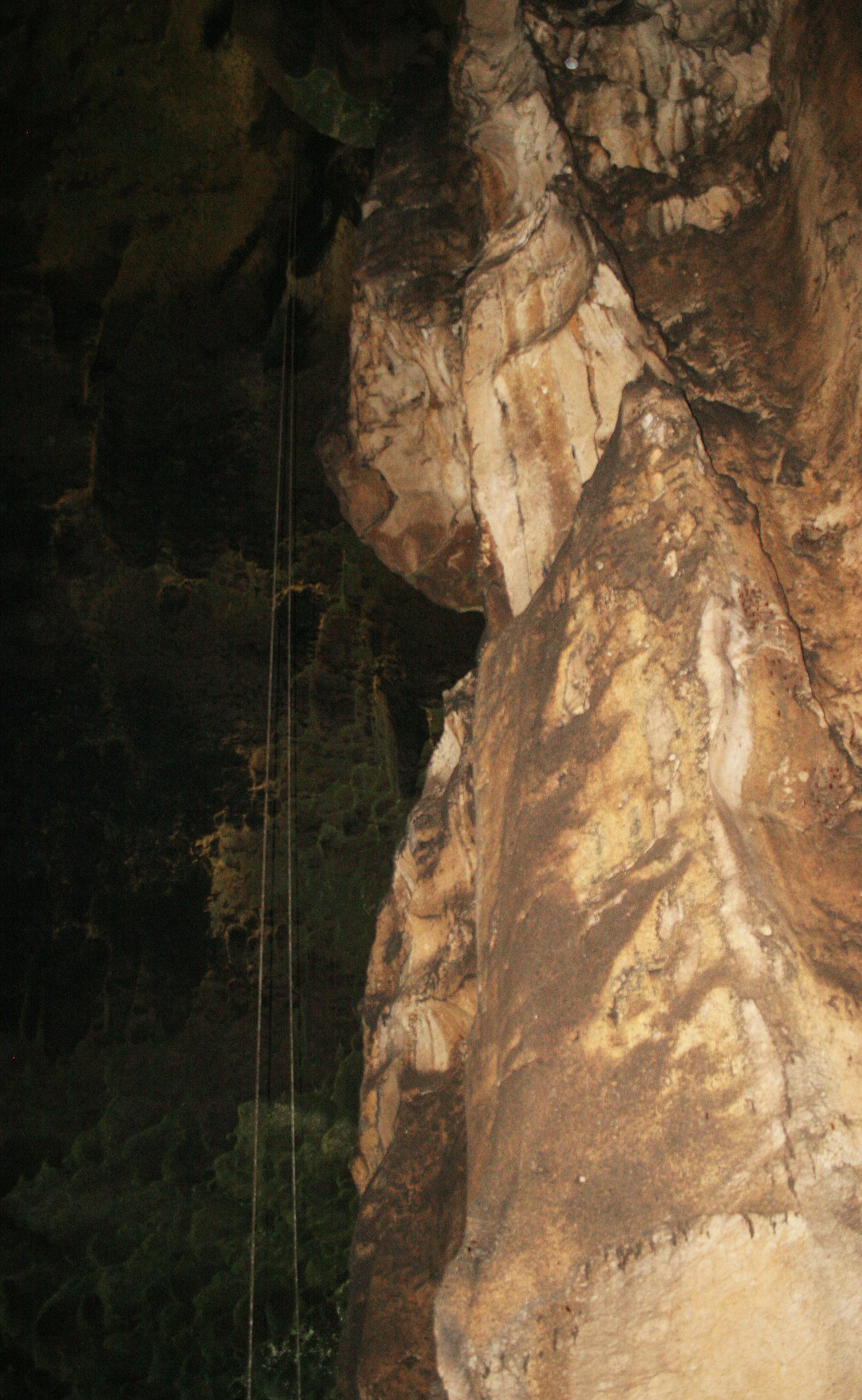 GAMONTONG CAVES BORNEO (17).JPG