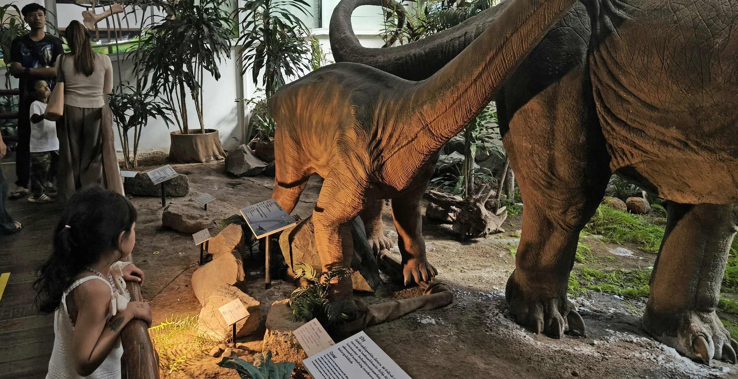 Phu Wiang Dinosaur Museum Khon Kaen Province (41).jpg