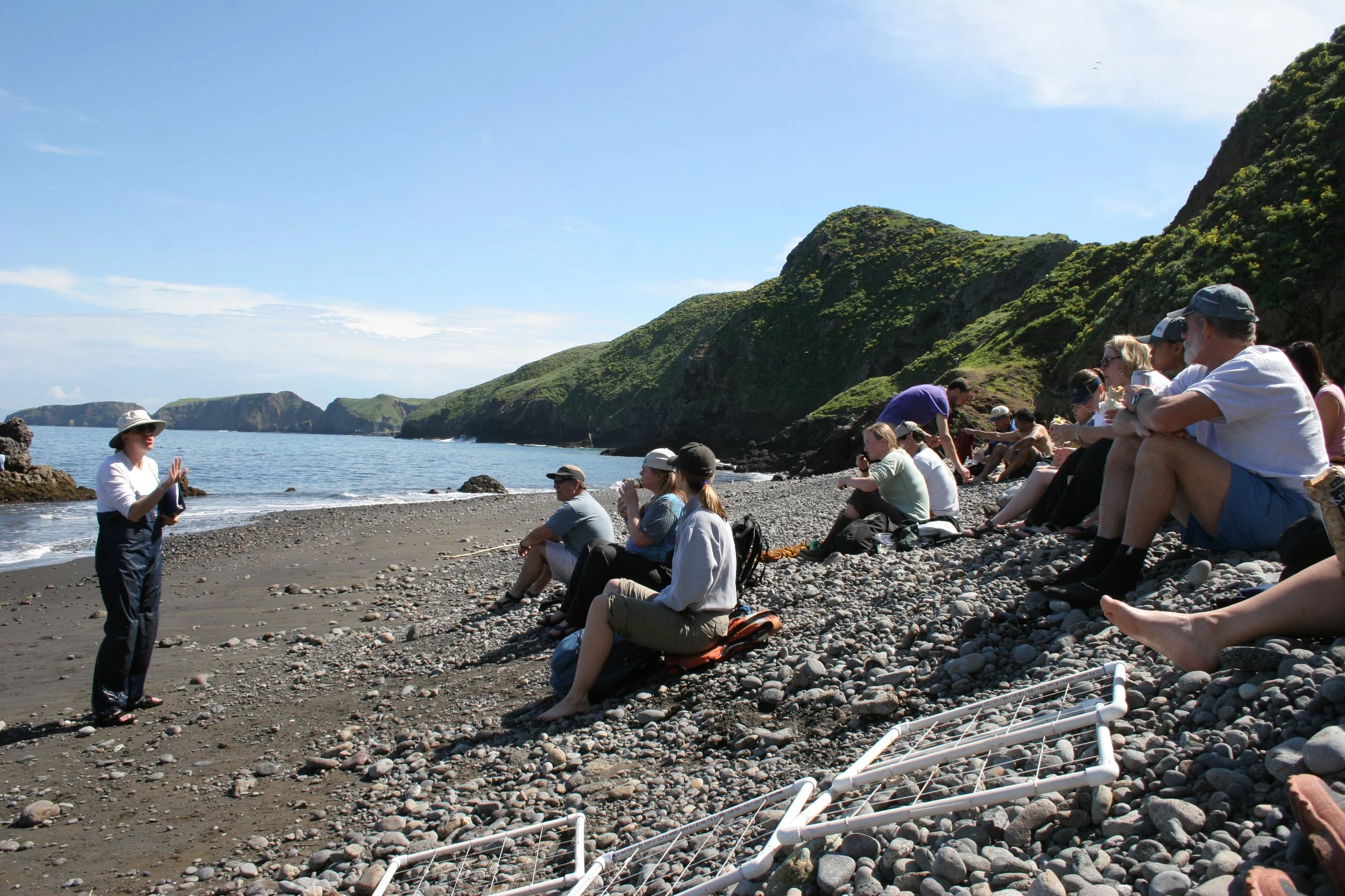 CALIFORNIA - CHANNEL ISLANDS NP - ANACAPA ISLAND - LIMPETS RESEARCH TRIP (12).jpg