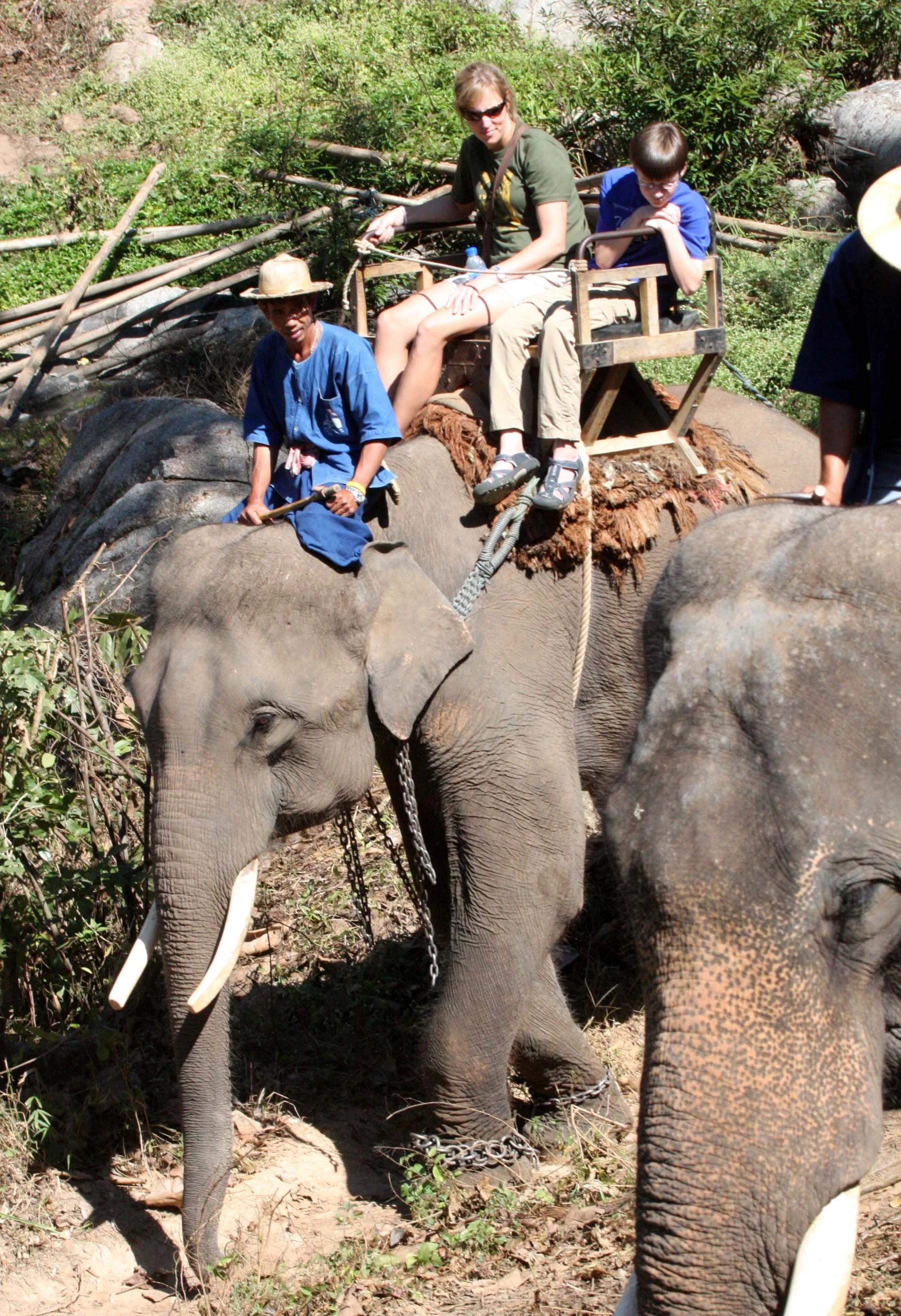 2008 Lampang City & Elephant Center (63).JPG
