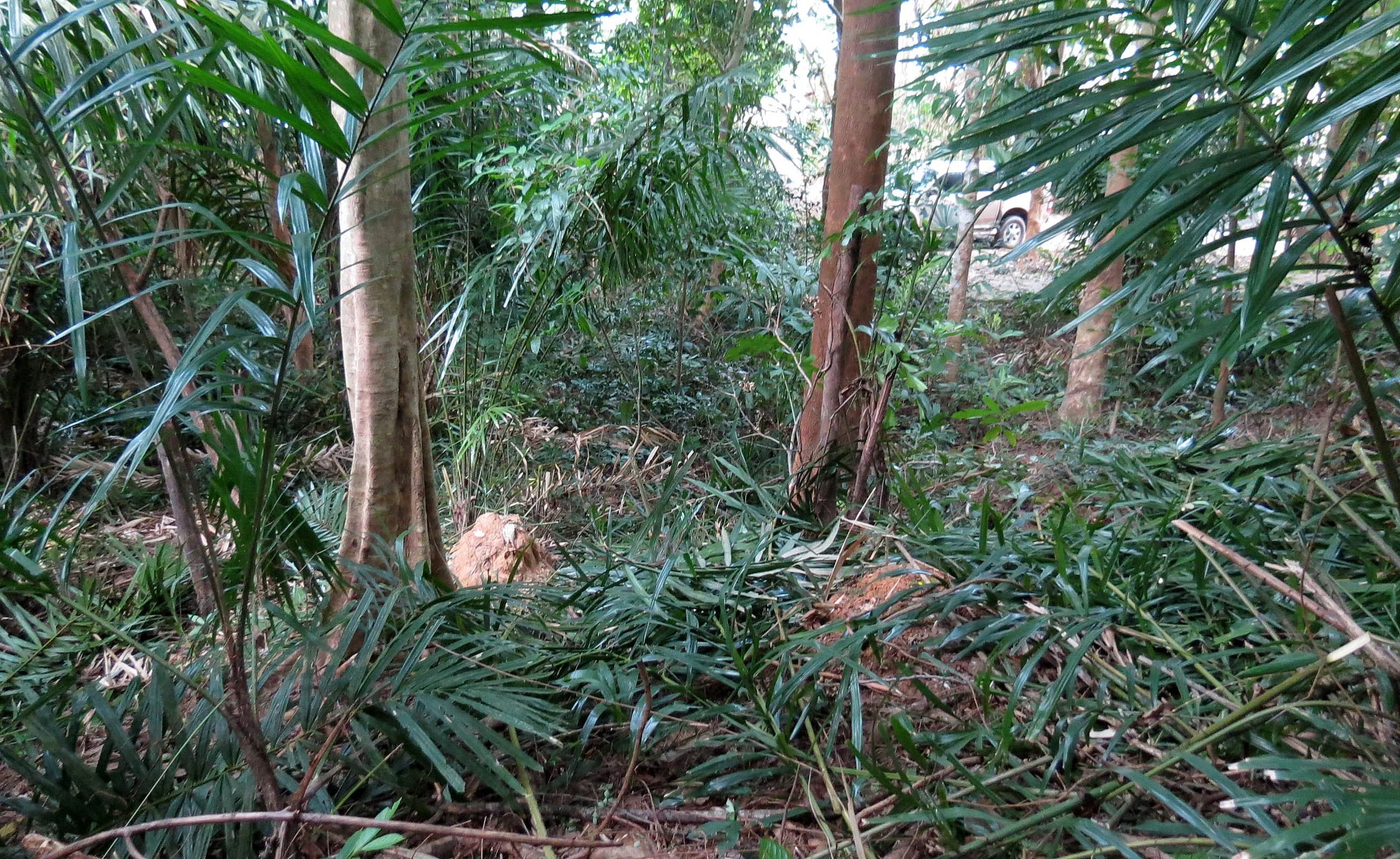 2014 Koh Lanta Build (105).JPG