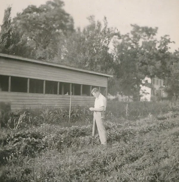 1950-06-18 Bumpa's-Joe caps a strawberry.jpg