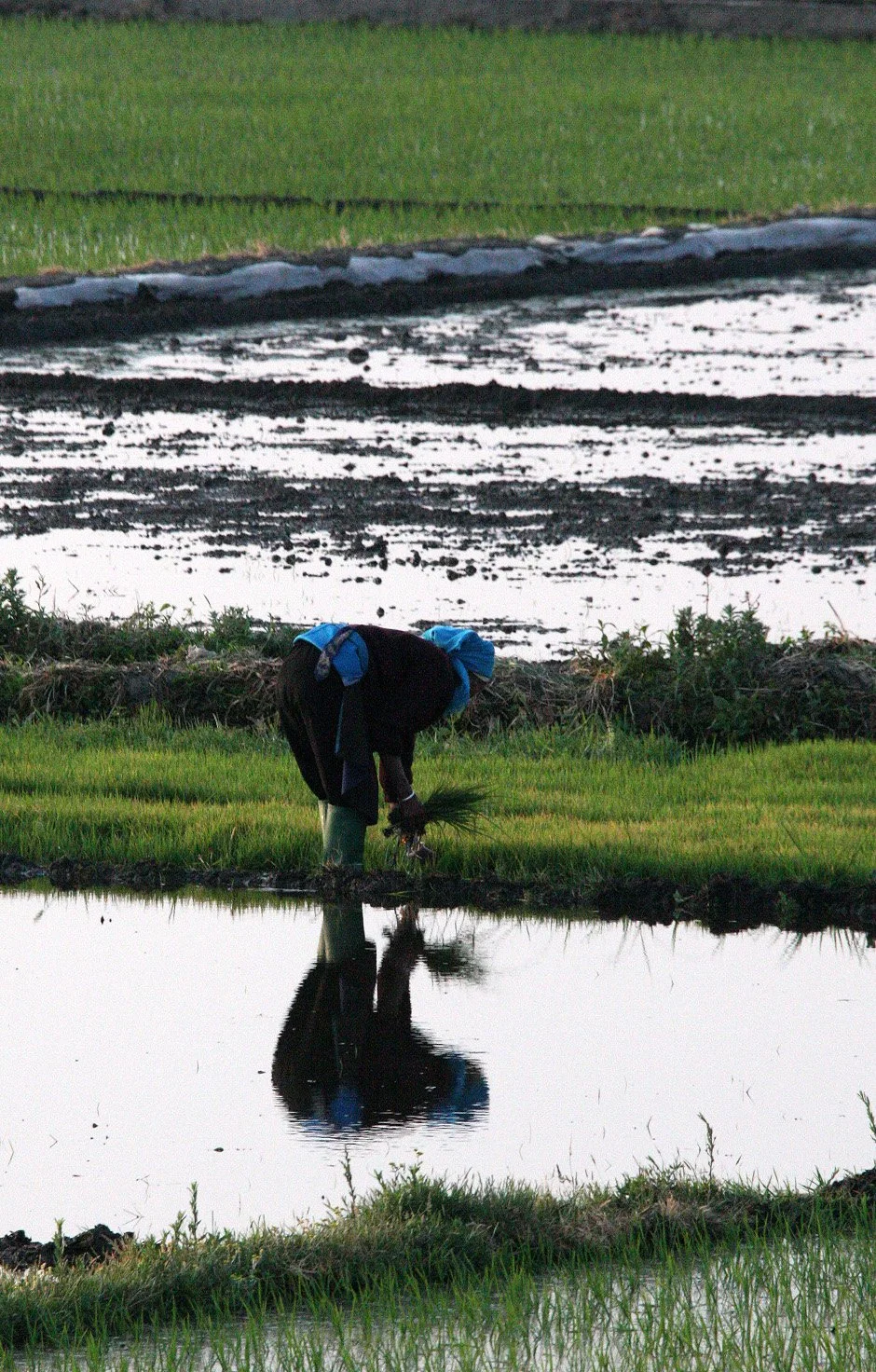 LINDEN CENTER - XIZHOU VILLAGE YUNNAN CHINA (76).JPG