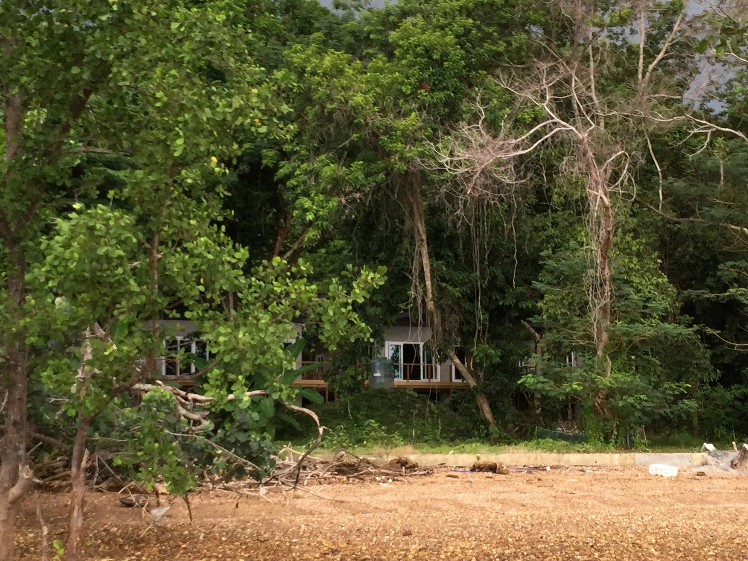 2015 Koh Lanta Garden & Nature (228).JPG