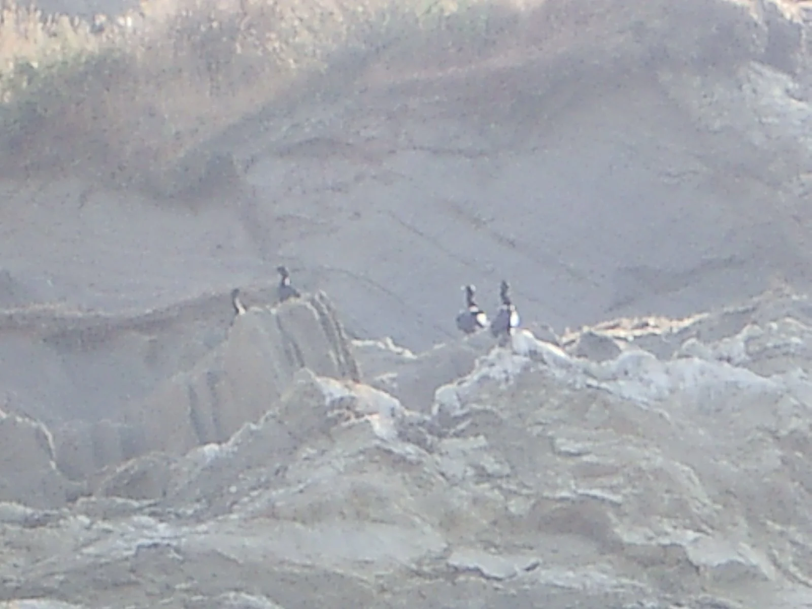 2003-7-31 FAMILY REUNION IN WASHINGTON AND CANADA (115).JPG