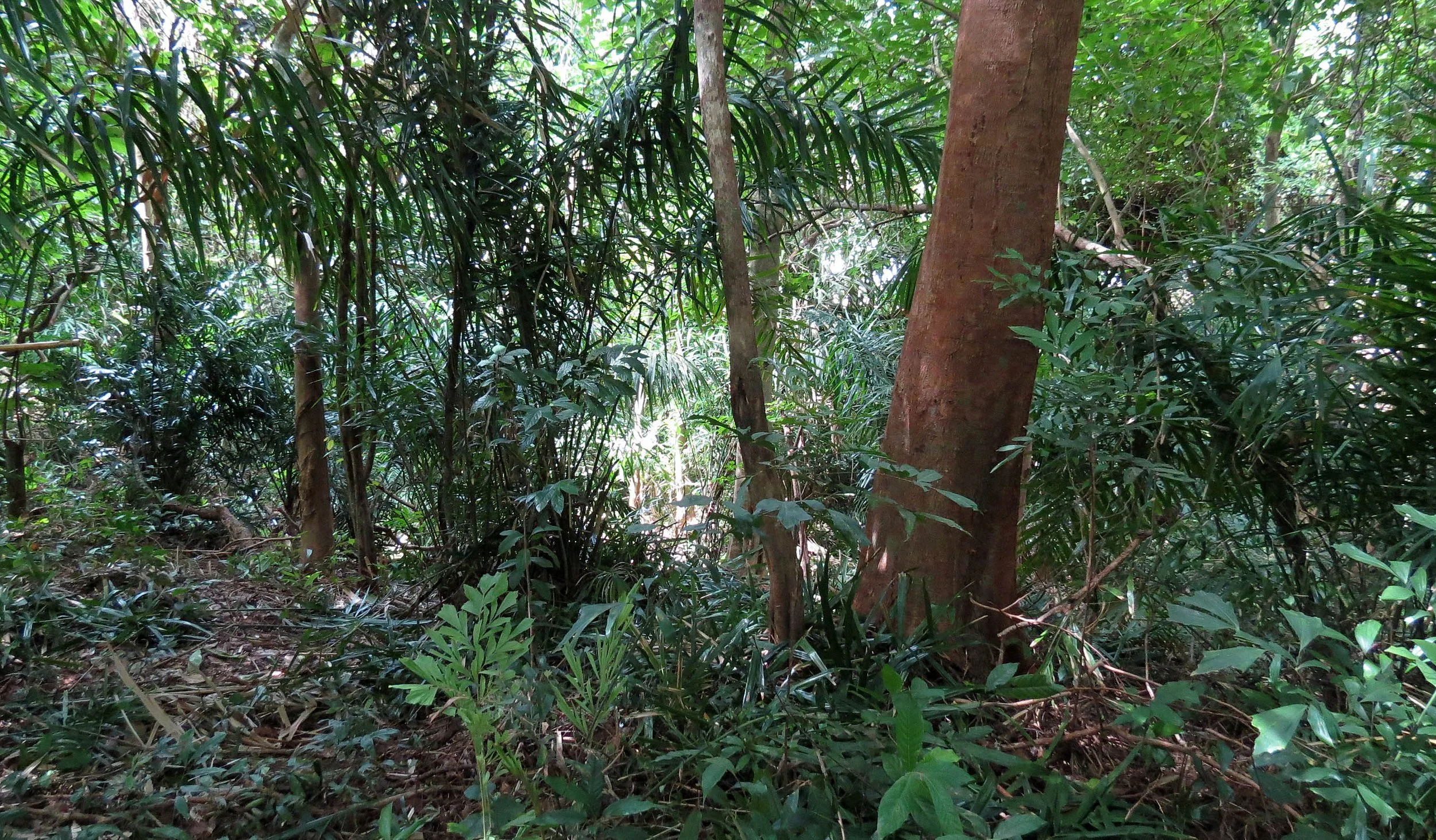 2014 Koh Lanta Build (101).JPG