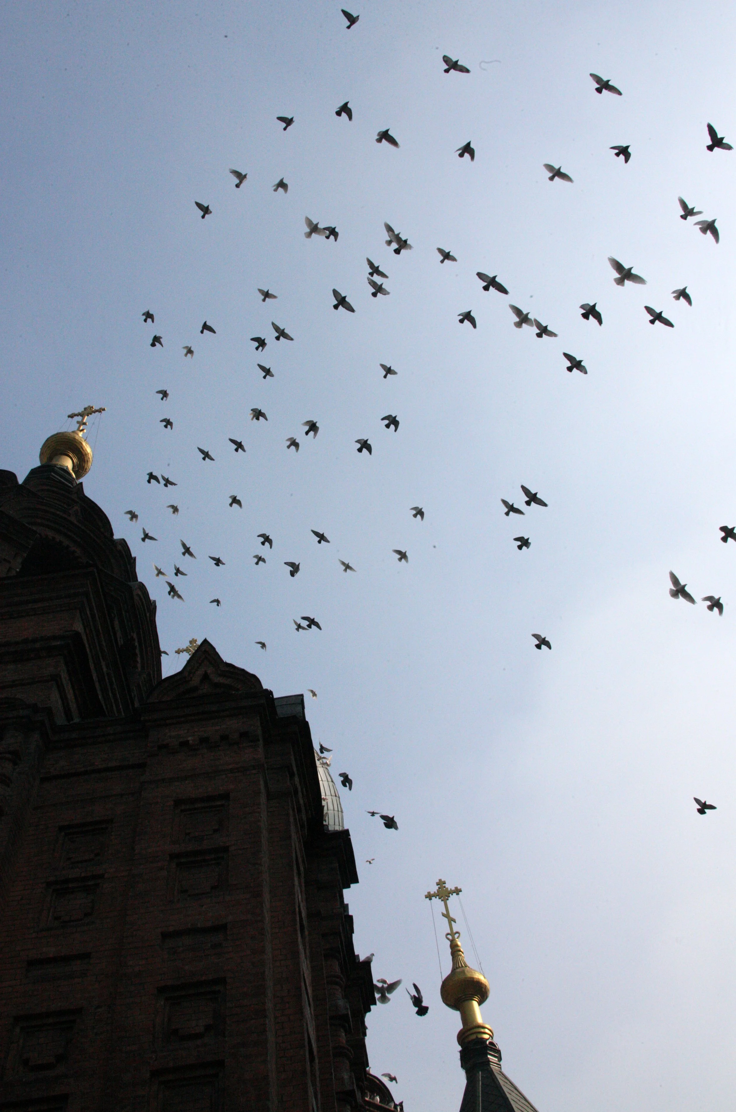 SAINT SOPHIA'S CATHEDRAL HARBIN CHINA (76).JPG