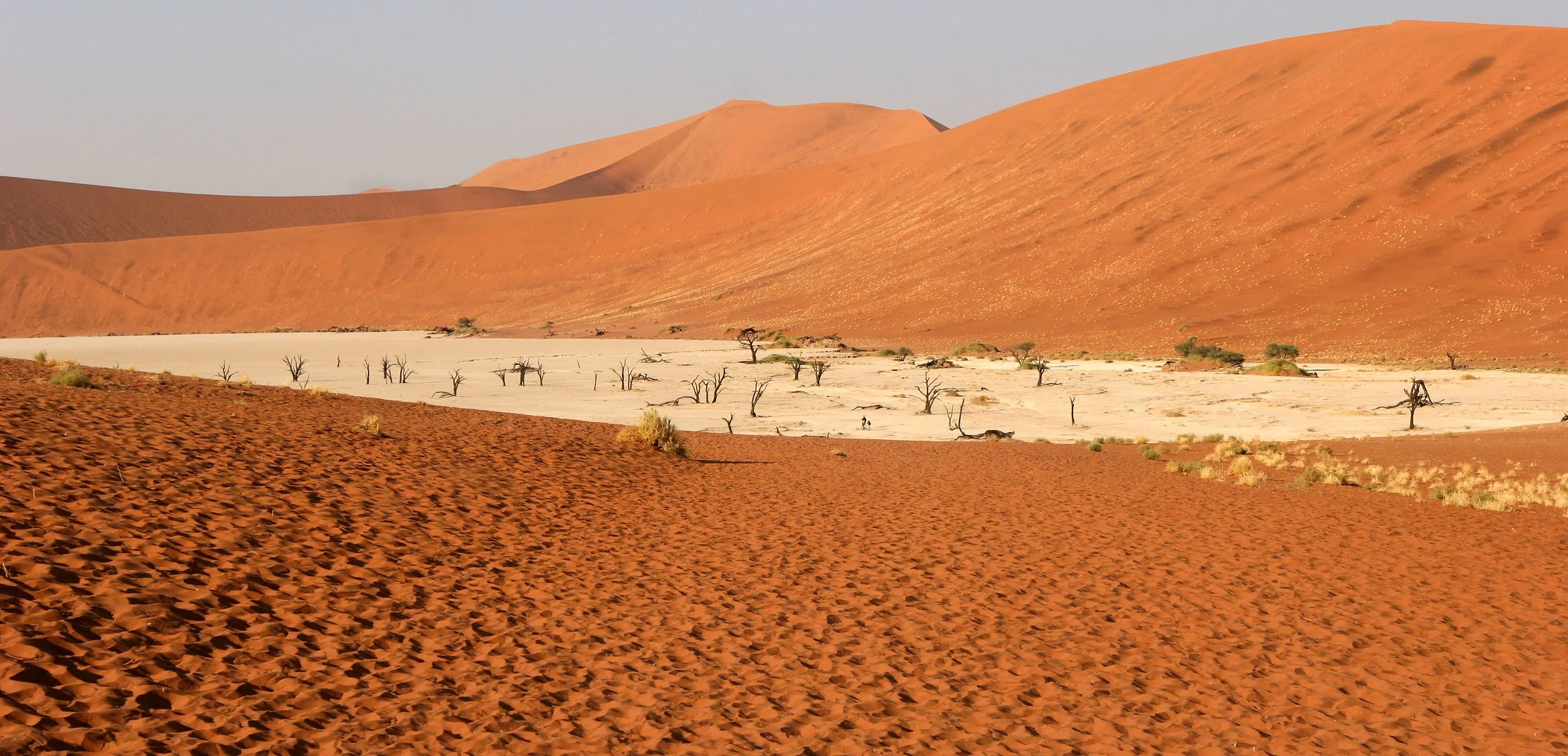 NAMIBIA - SOSSUSVLEI - DEAD VLEI - NAMIBIA.JPG