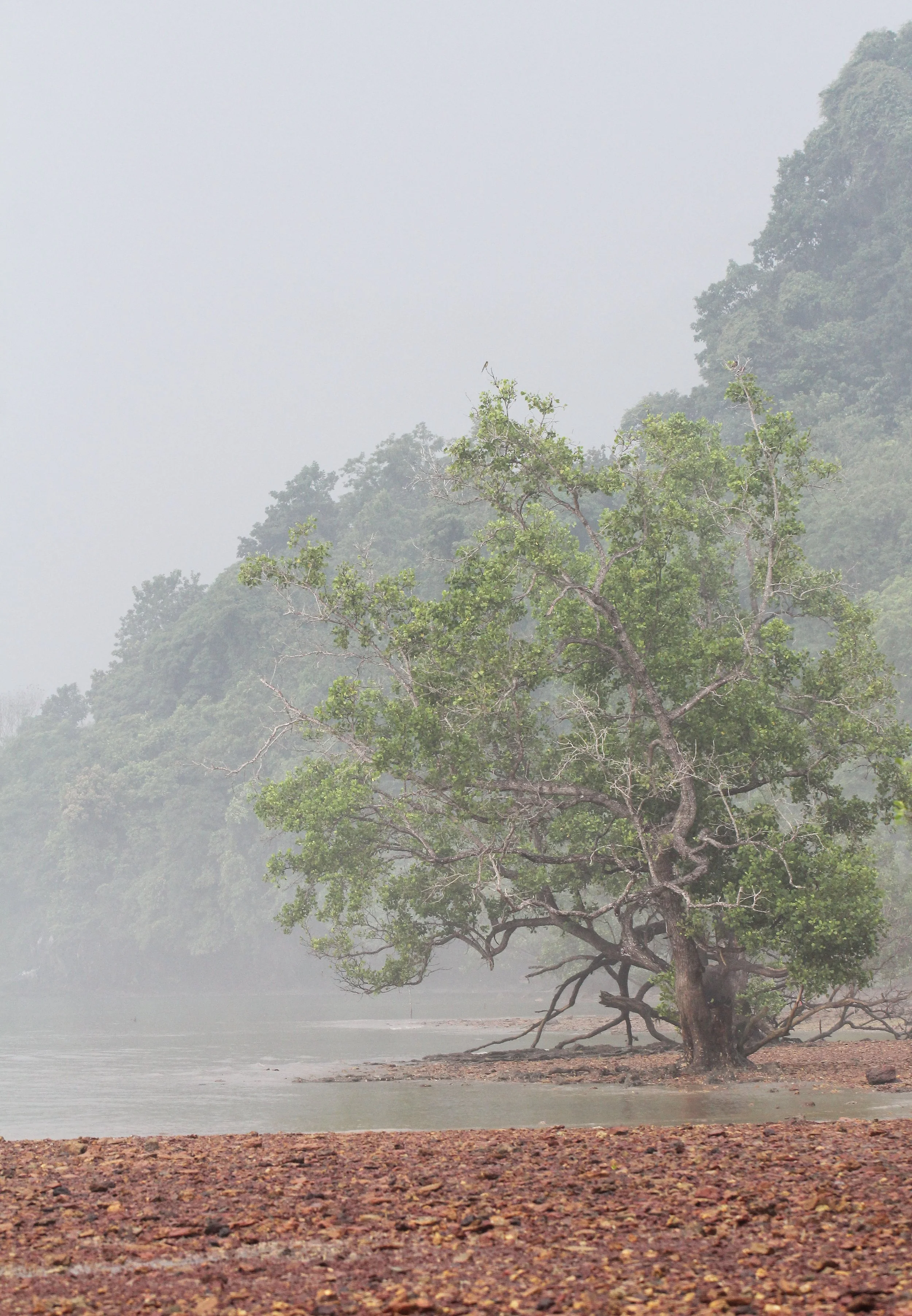 2015 Koh Lanta October Break Trip  (195).JPG