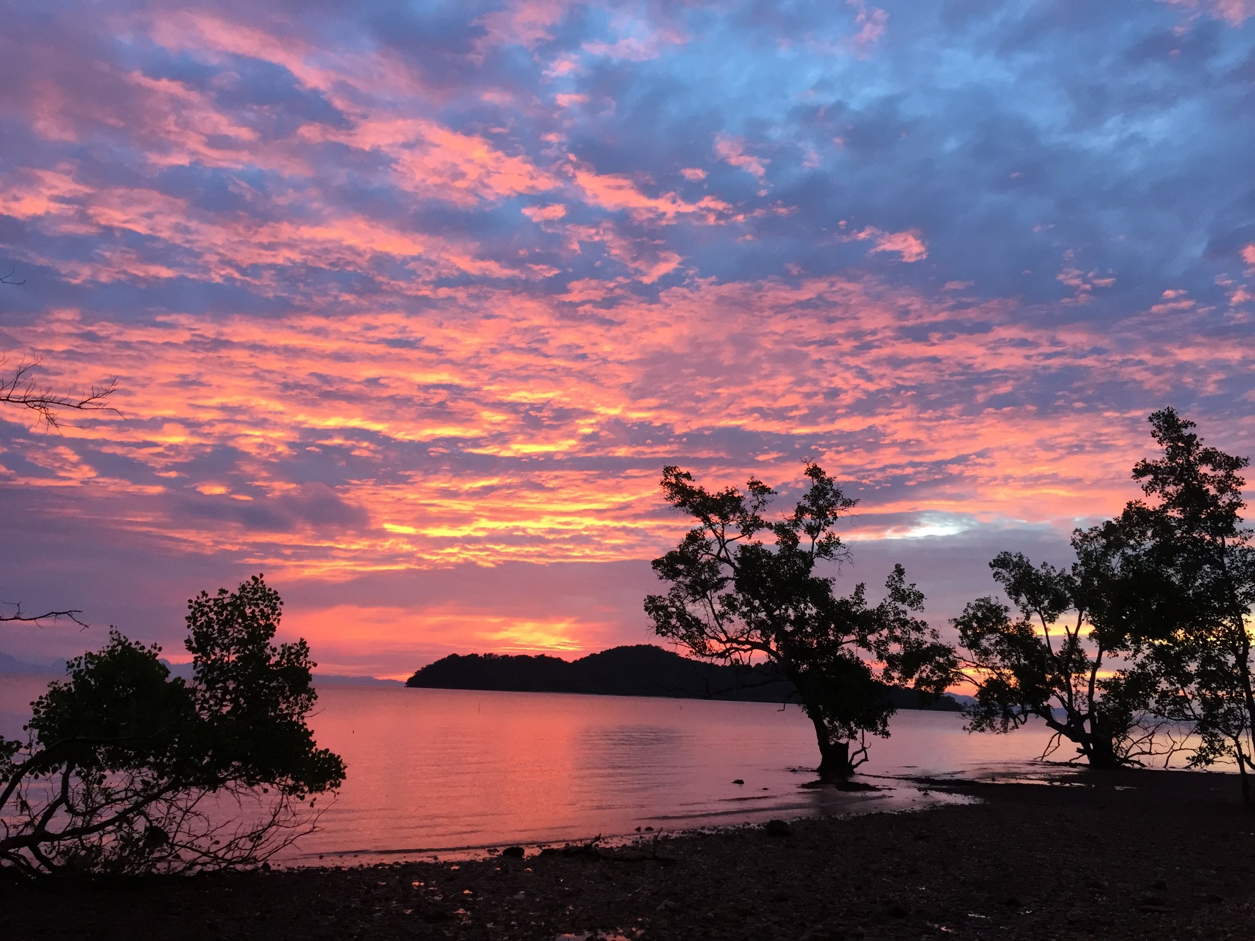 2015 Koh Lanta Garden & Nature (299).JPG