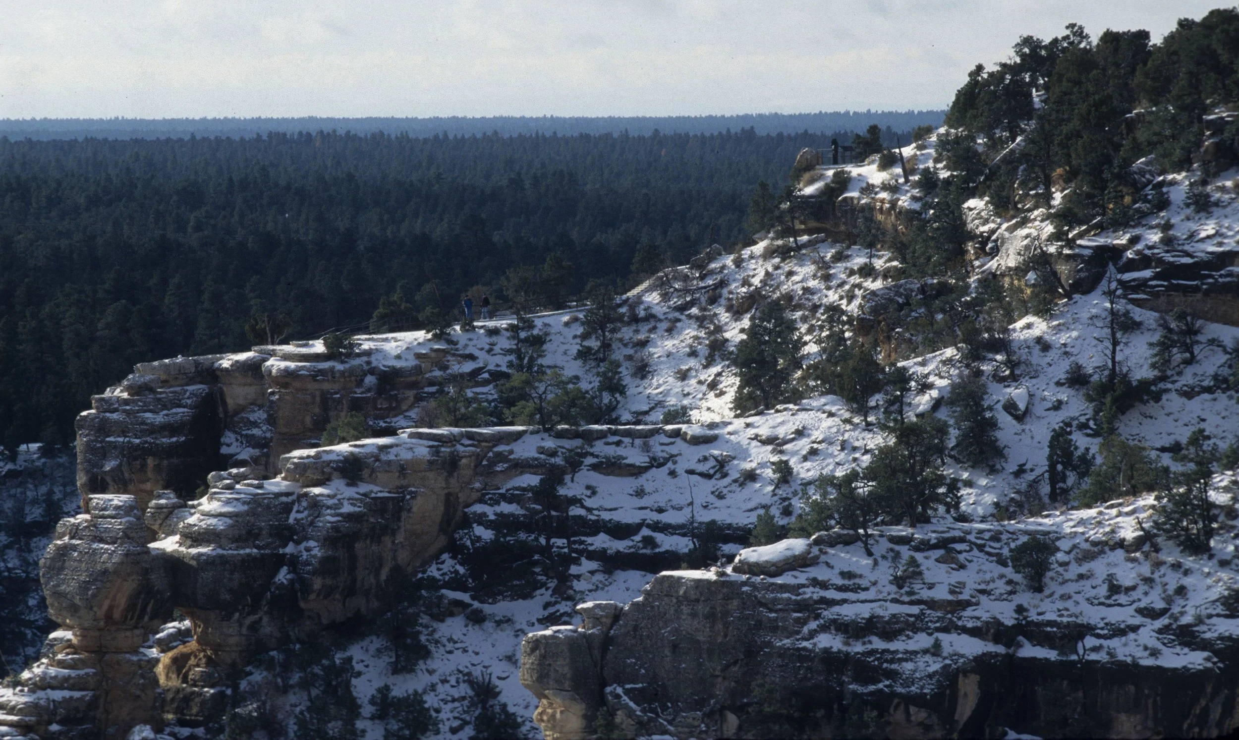 ARIZONA - GRAND CANYON - SOUTH RIM VIEW D.jpg