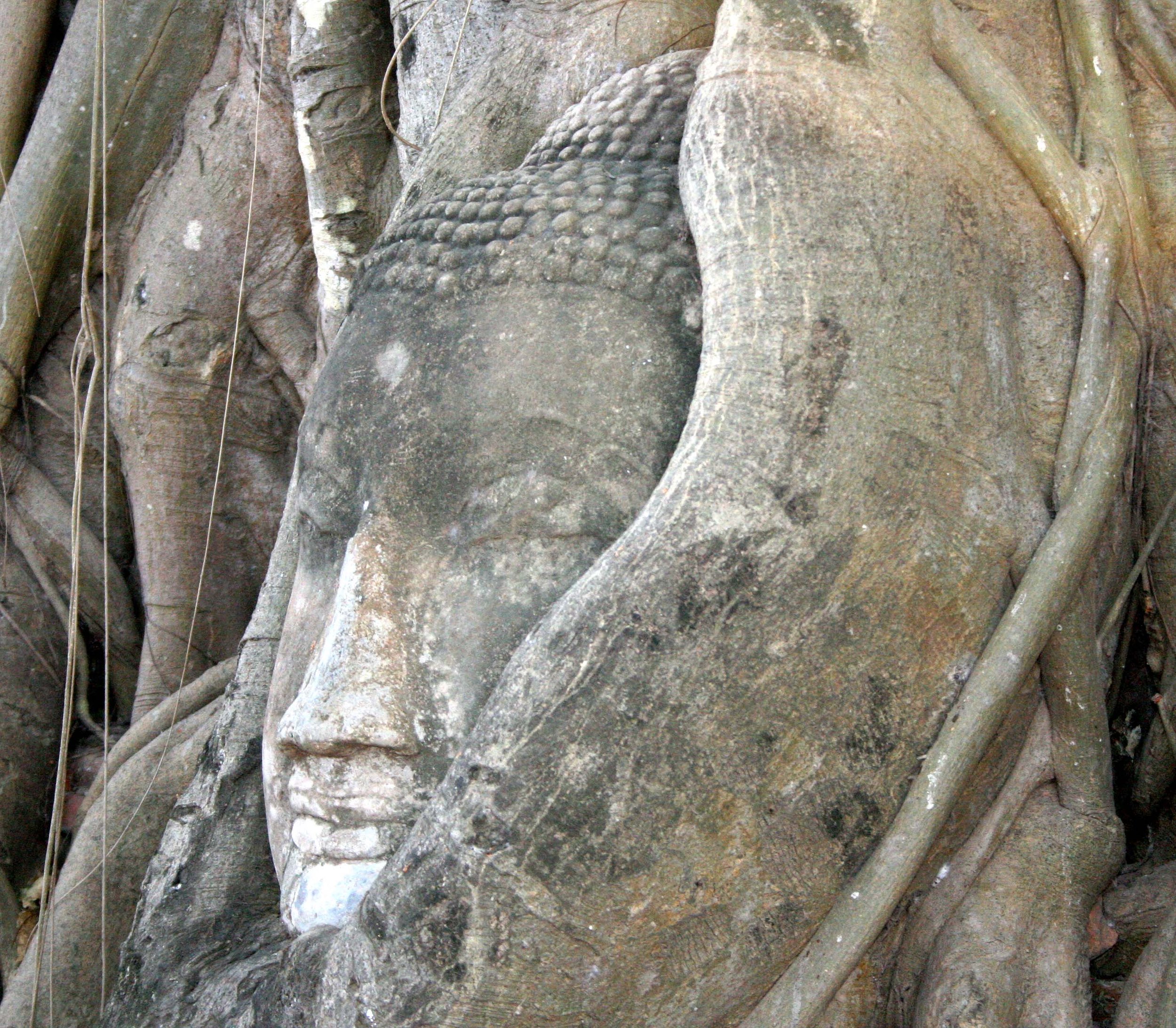 AYUDTHAYA - CHRISTMAS TRIP 2008 (25).JPG