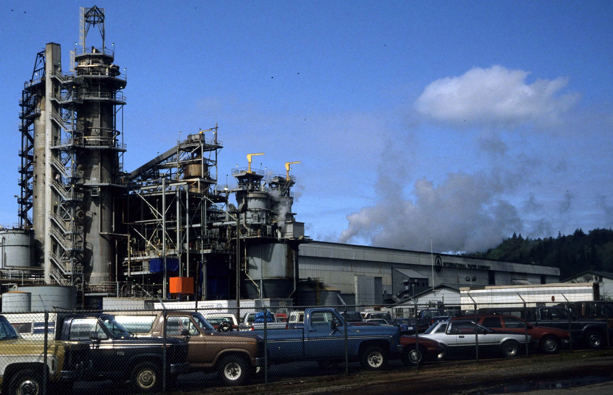 CALIFORNIA - REDWOODS NP - LOGGING OPERATIONS.jpg