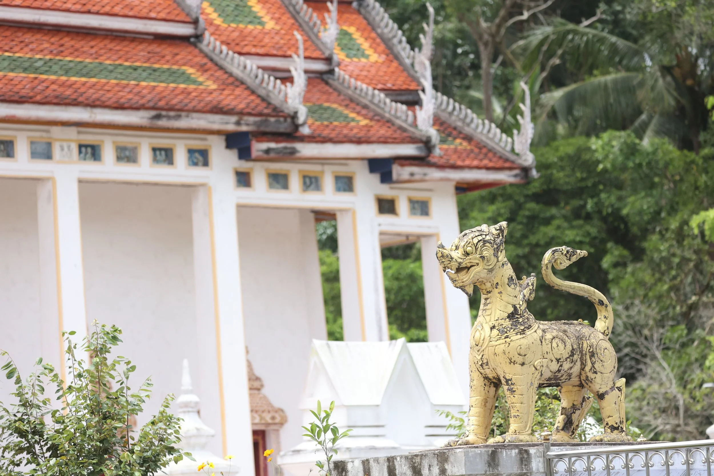 2022 Nakhonsithammarat Road Trip to Southern Thailand with Cokie (8).JPG