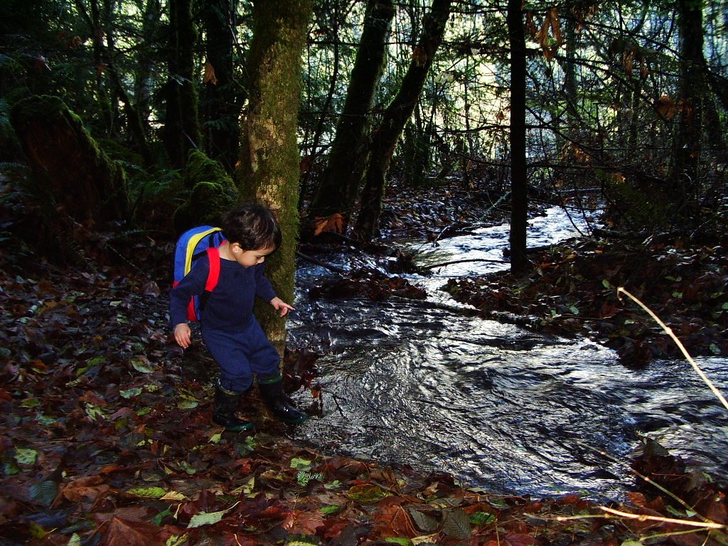 2004-11-18 HIKE WITH COKIE IN THE FOREST (4).JPG