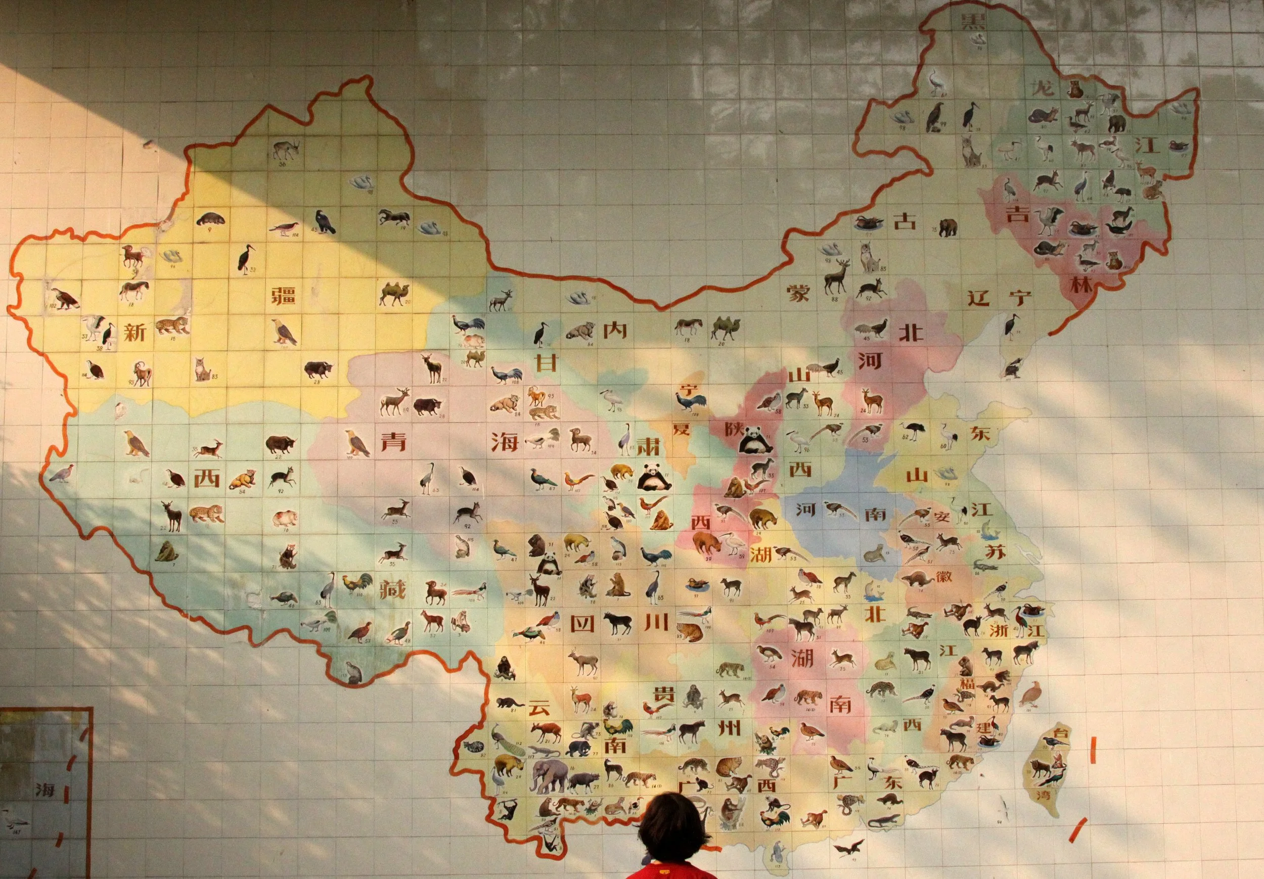 2011-5-6 SHANGHAI ZOO (27).JPG