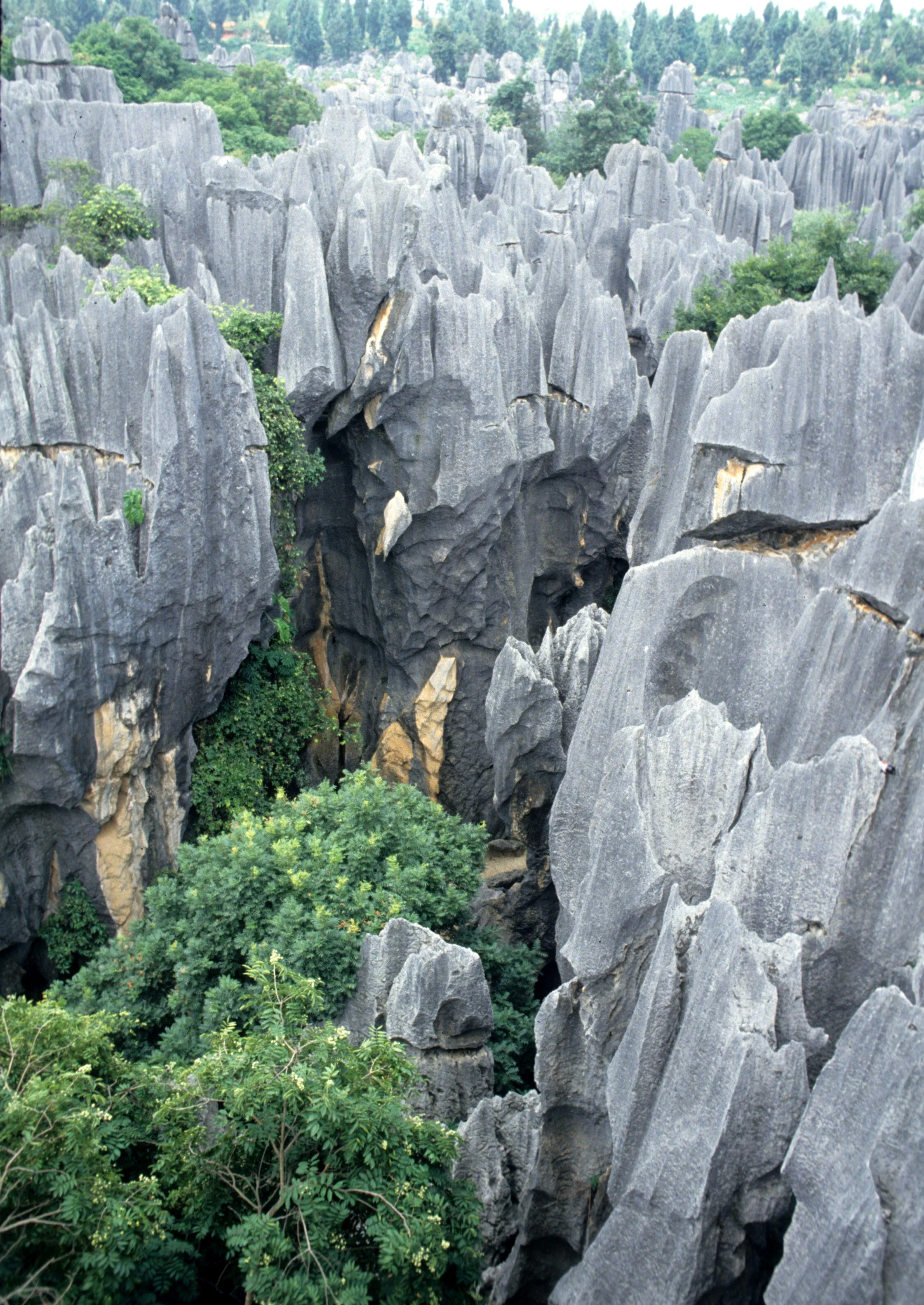 STONE FOREST - KUNMING CHINA (12).jpg