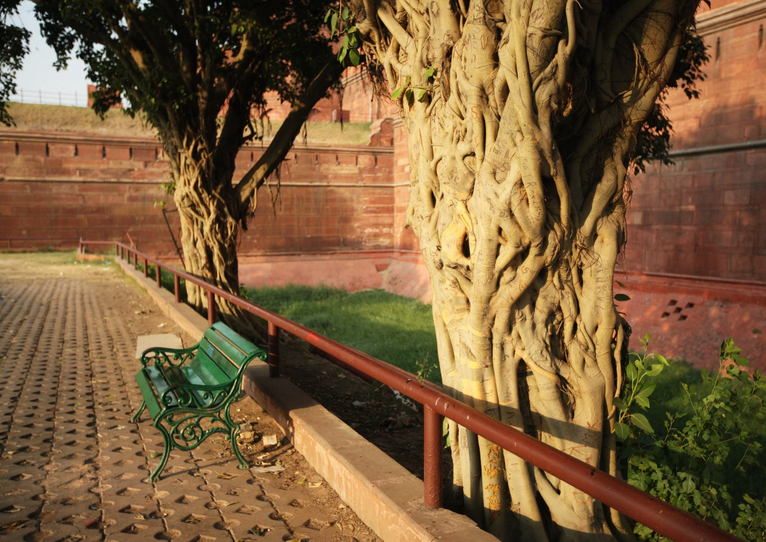 OLD DELHI INDIA - SNOW LEOPARD TRIP 2014 (40).JPG