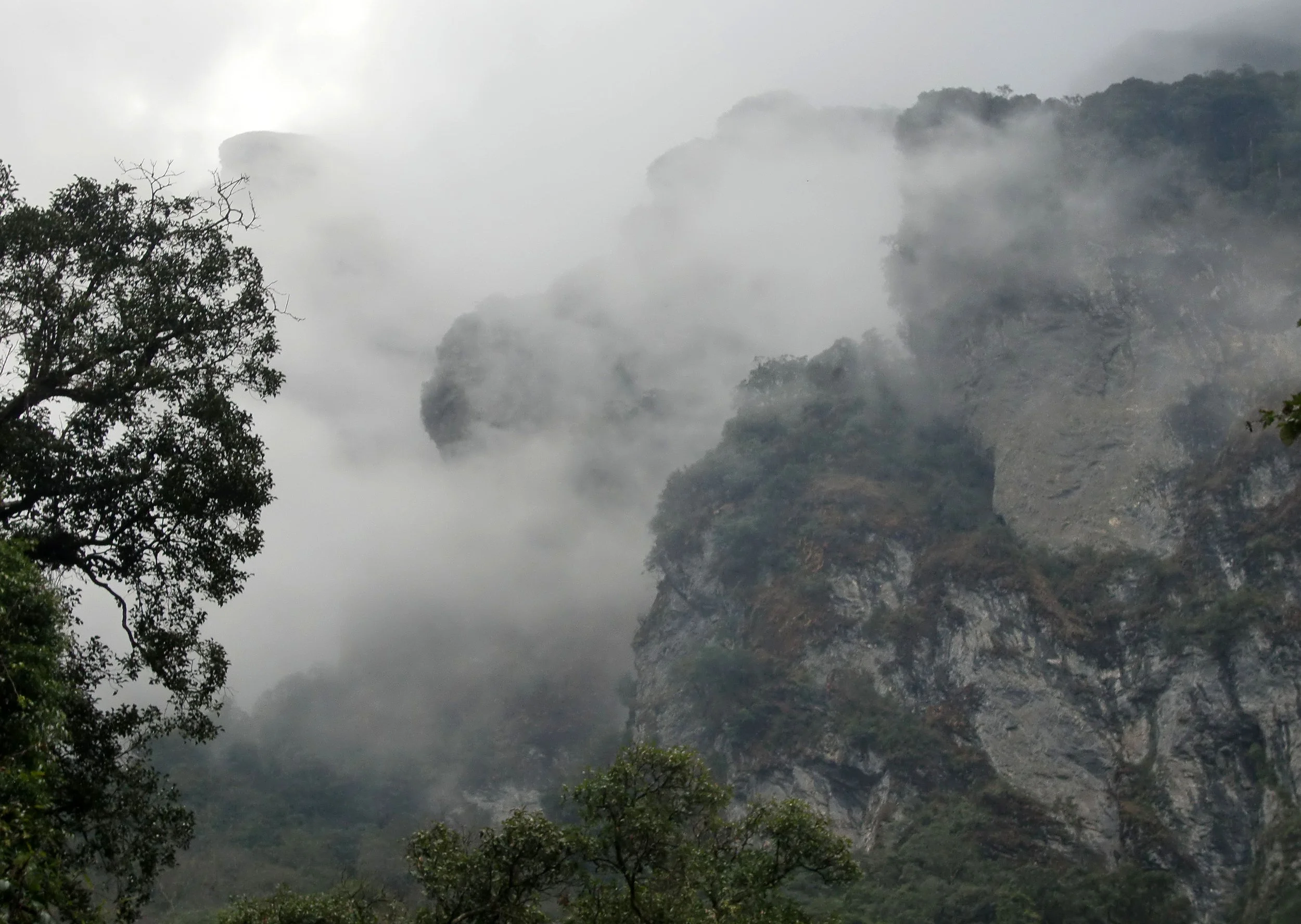 YUNNAN - WULIANGSHAN NATURE RESERVE AND SURROUNDING MOUNTAINS (33).JPG