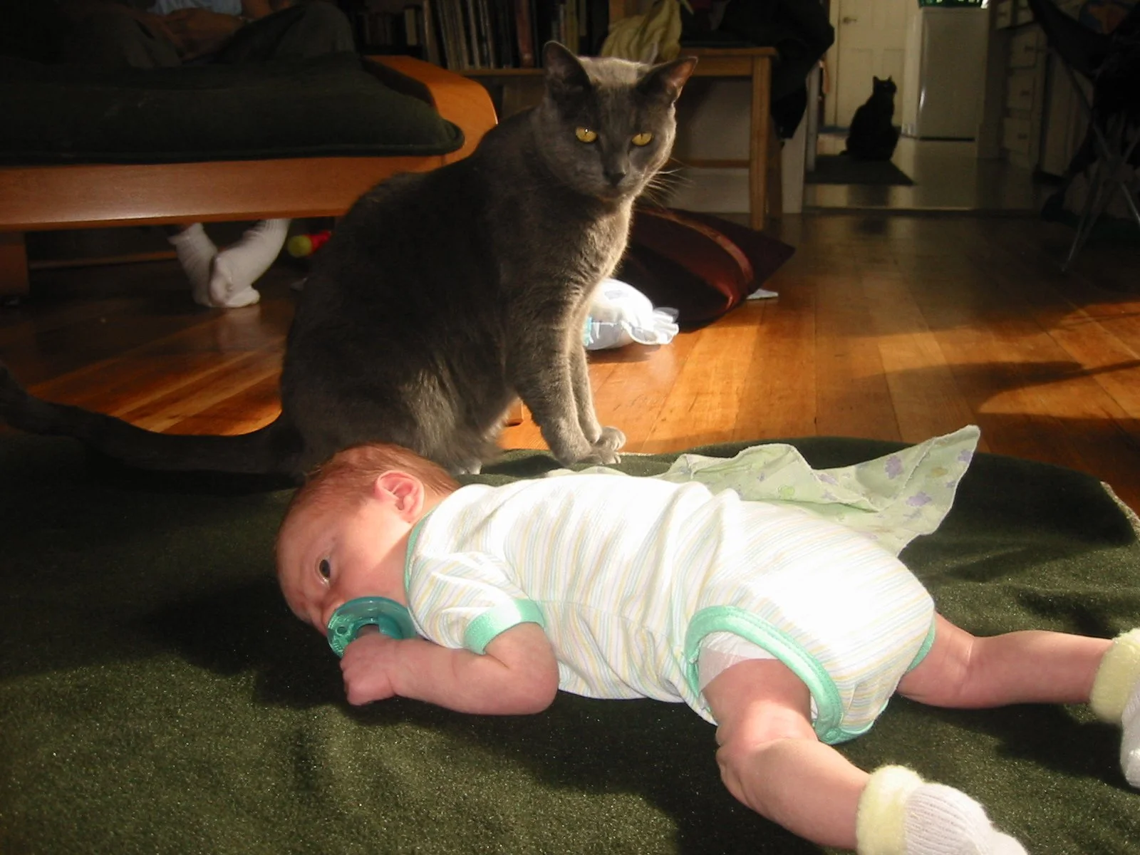 2003-4-2 SPRING TRIP TO SACRAMENTO (2).JPG