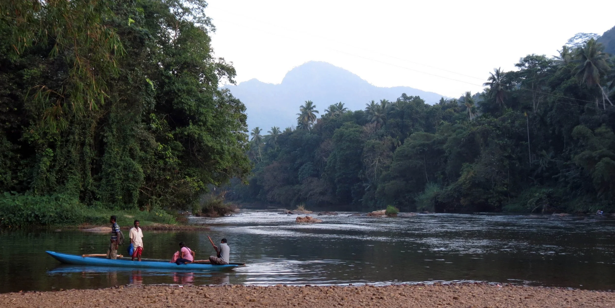 KITULGALA FOREST PRESERVE SRI LANKA (2).JPG