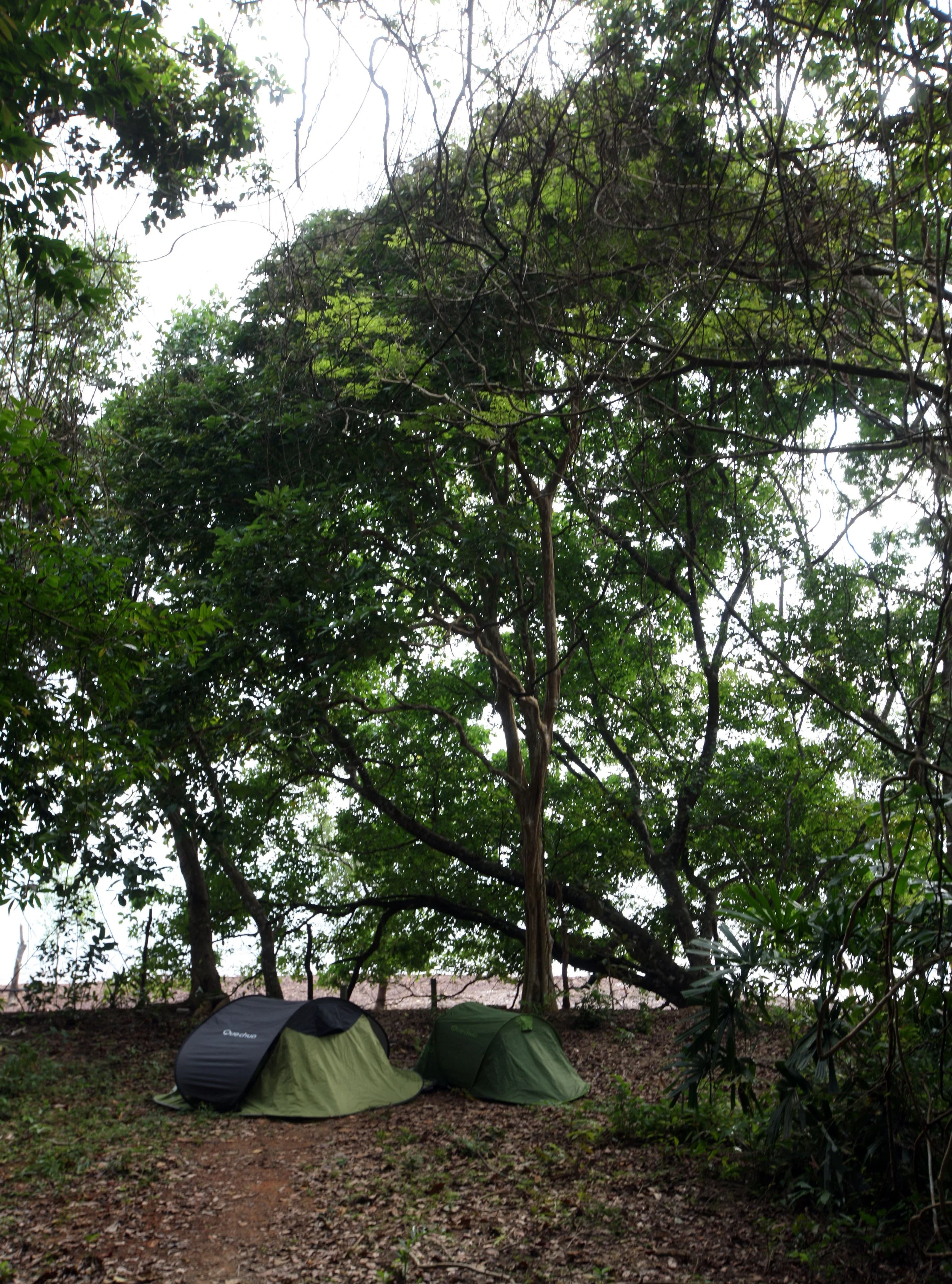 2015 Koh Lanta Build and Fun (129).JPG