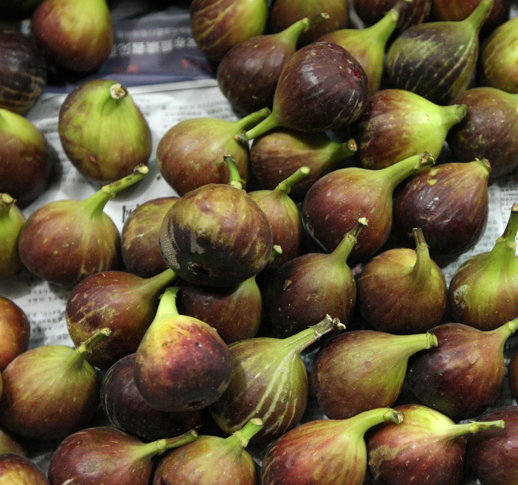 CRACK PASTA WITH JASON (106).jpg