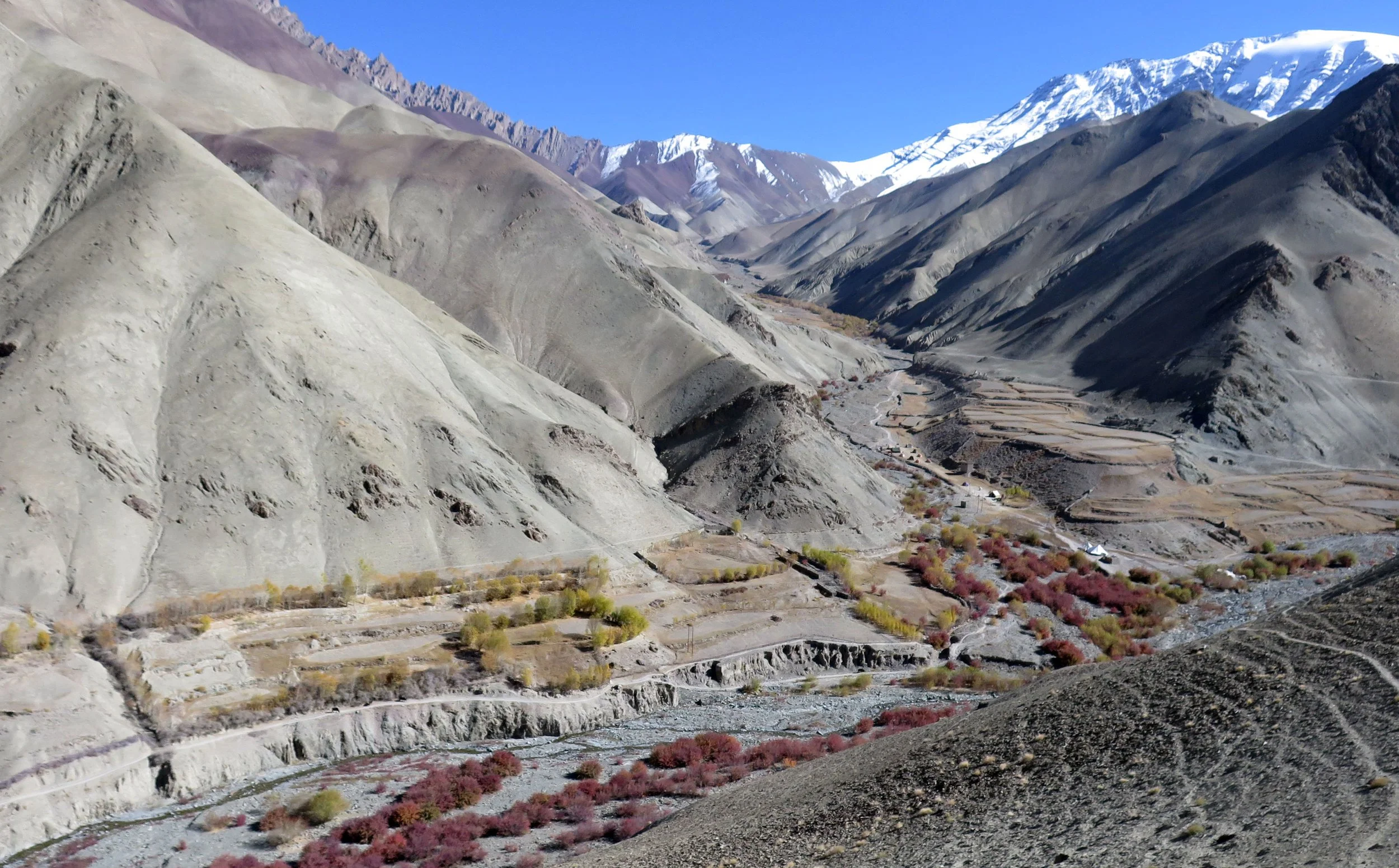 HEMIS NATIONAL PARK - LADAKH INDIA - JAMMU & KASHMIR NEAR RUMBAK VILLAGE (631).JPG