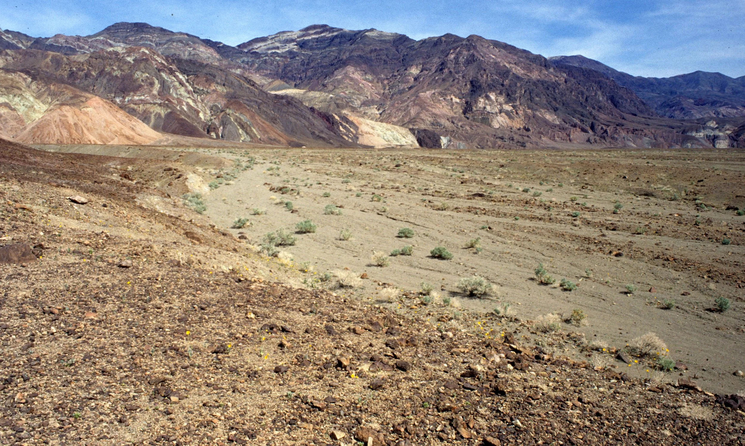 DEATH VALLEY - DESERT HOLLY COMMUNITY.jpg