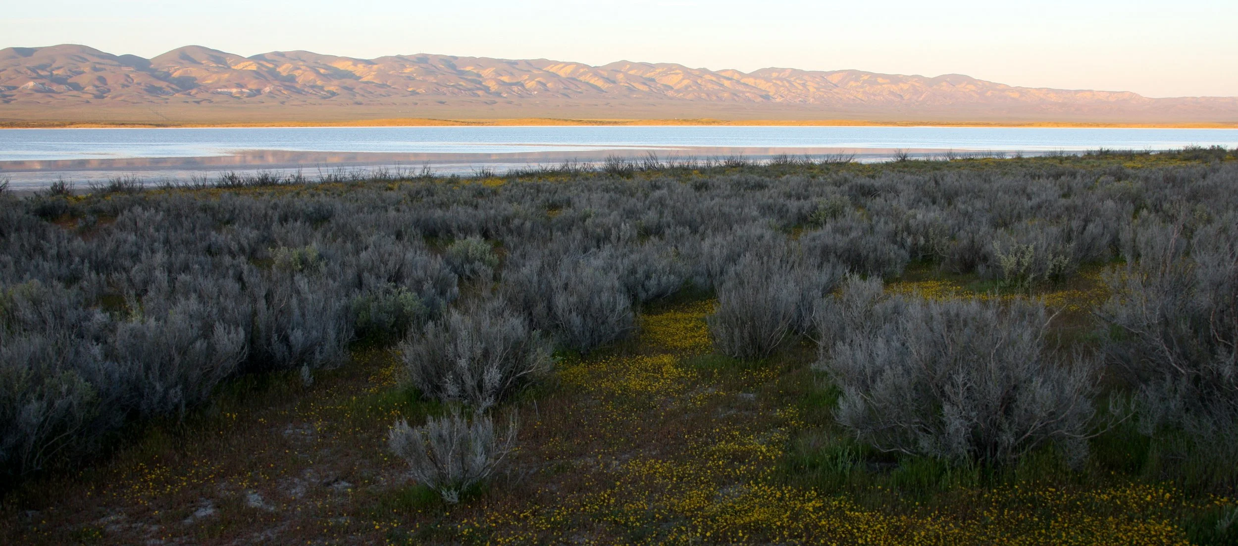 CARRIZO PLAIN NATIONAL MONUMENT - VIEWS OF THE REGION - ROADTRIP 2010 (60).JPG
