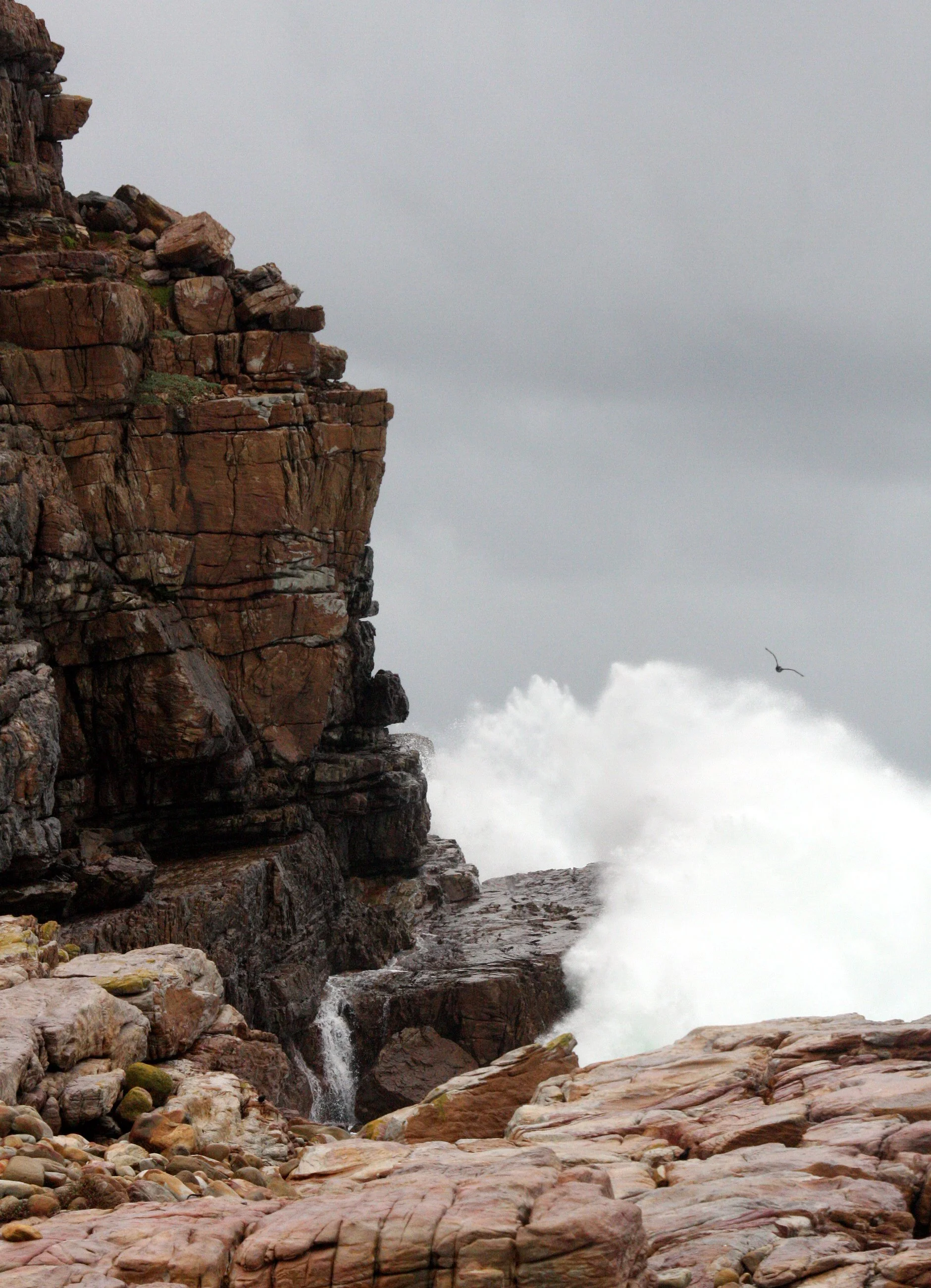 TABLE MOUNTAIN NATIONAL PARK SOUTH AFRICA - CAPE OF GOOD HOPE (11).JPG