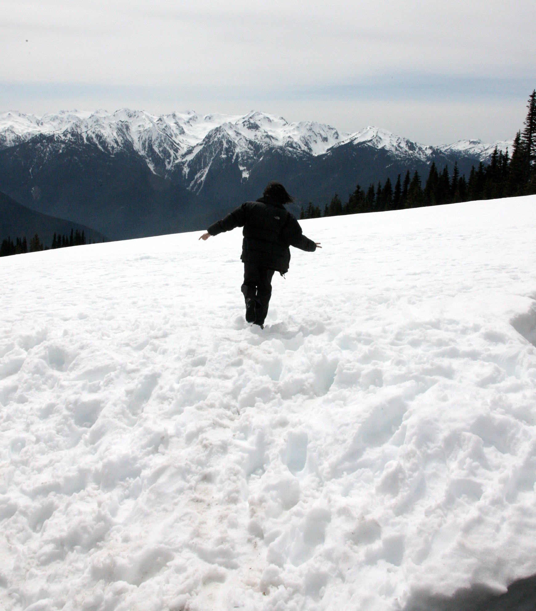 2010-4-18 TRIP TO HURRICANE RIDGE WITH COKIE (2).JPG