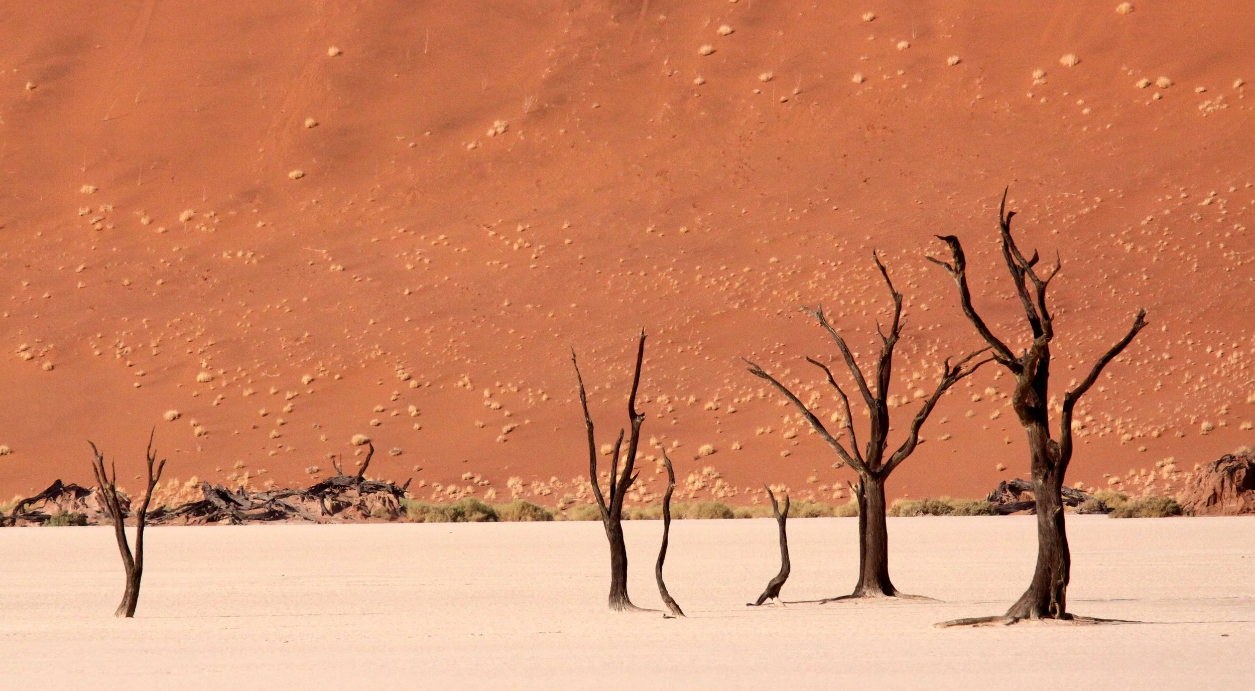 SOSSUSVLEI, NAMIB NAUKLUFT NATIONAL PARK, NAMIBIA - DEAD VLEI (62).JPG