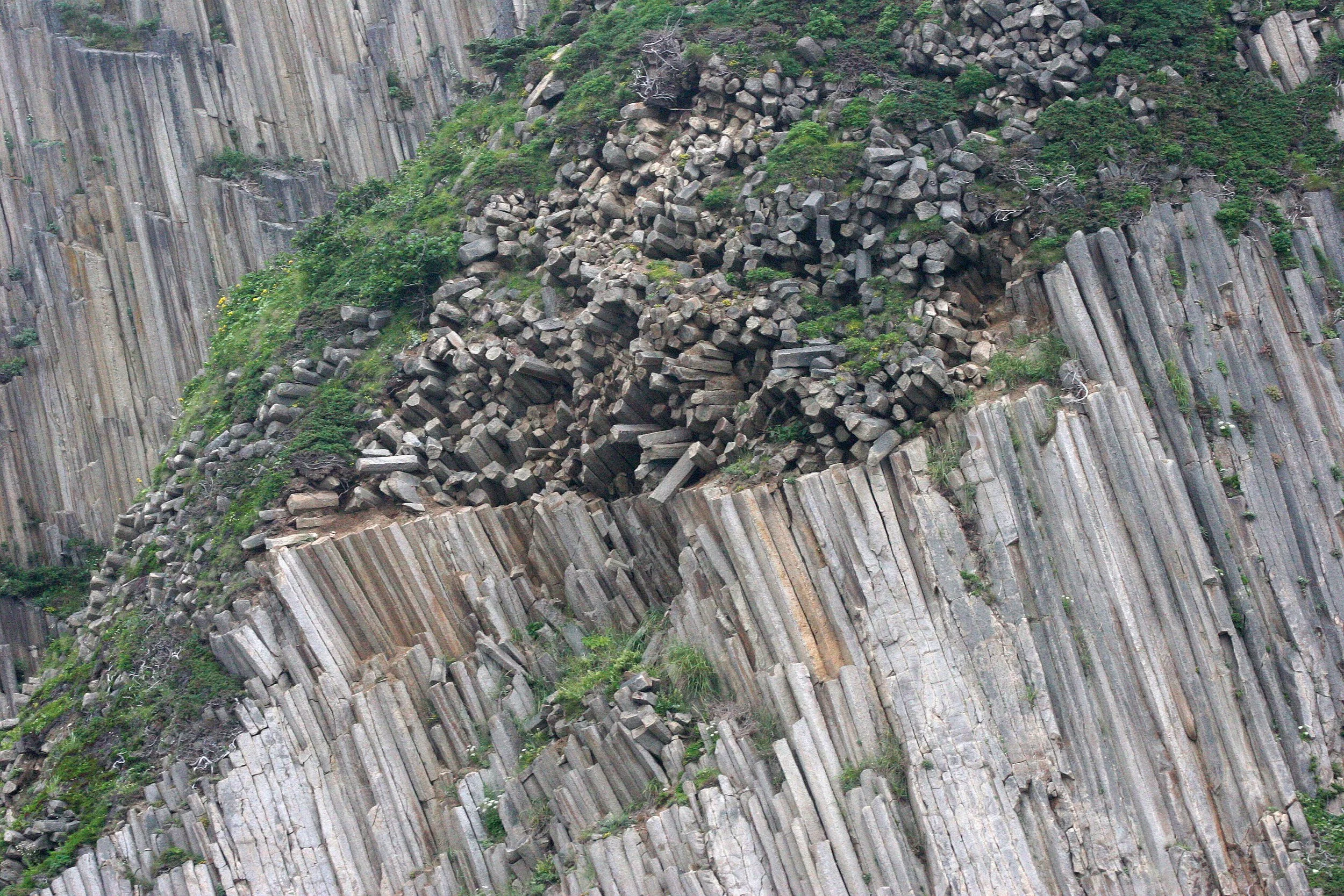 KURIL ISLANDS - FLORA  (55).jpg