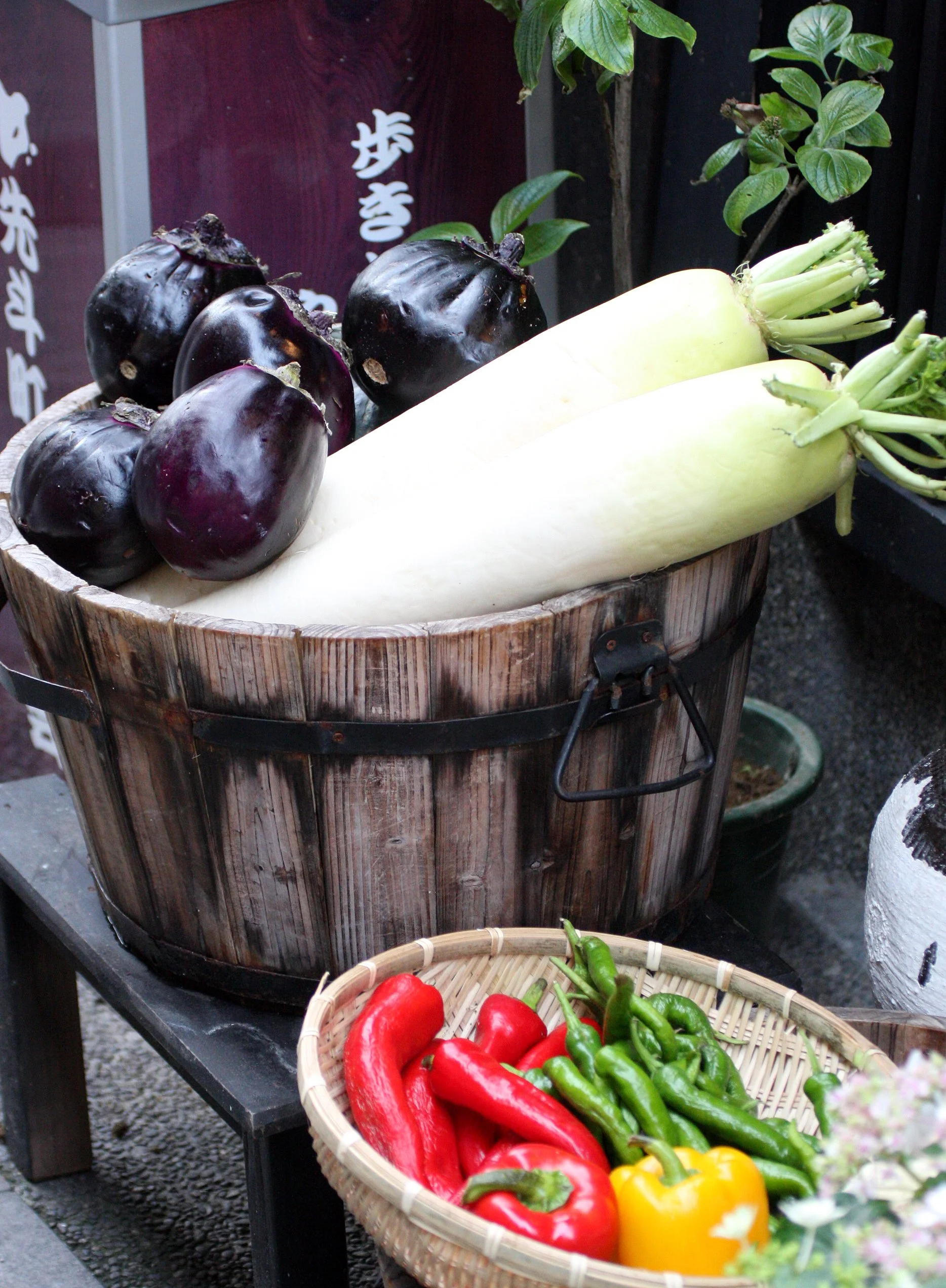 KYOTO - MAY 2009 - CITY SCENES AND LANDSCAPES (17).JPG