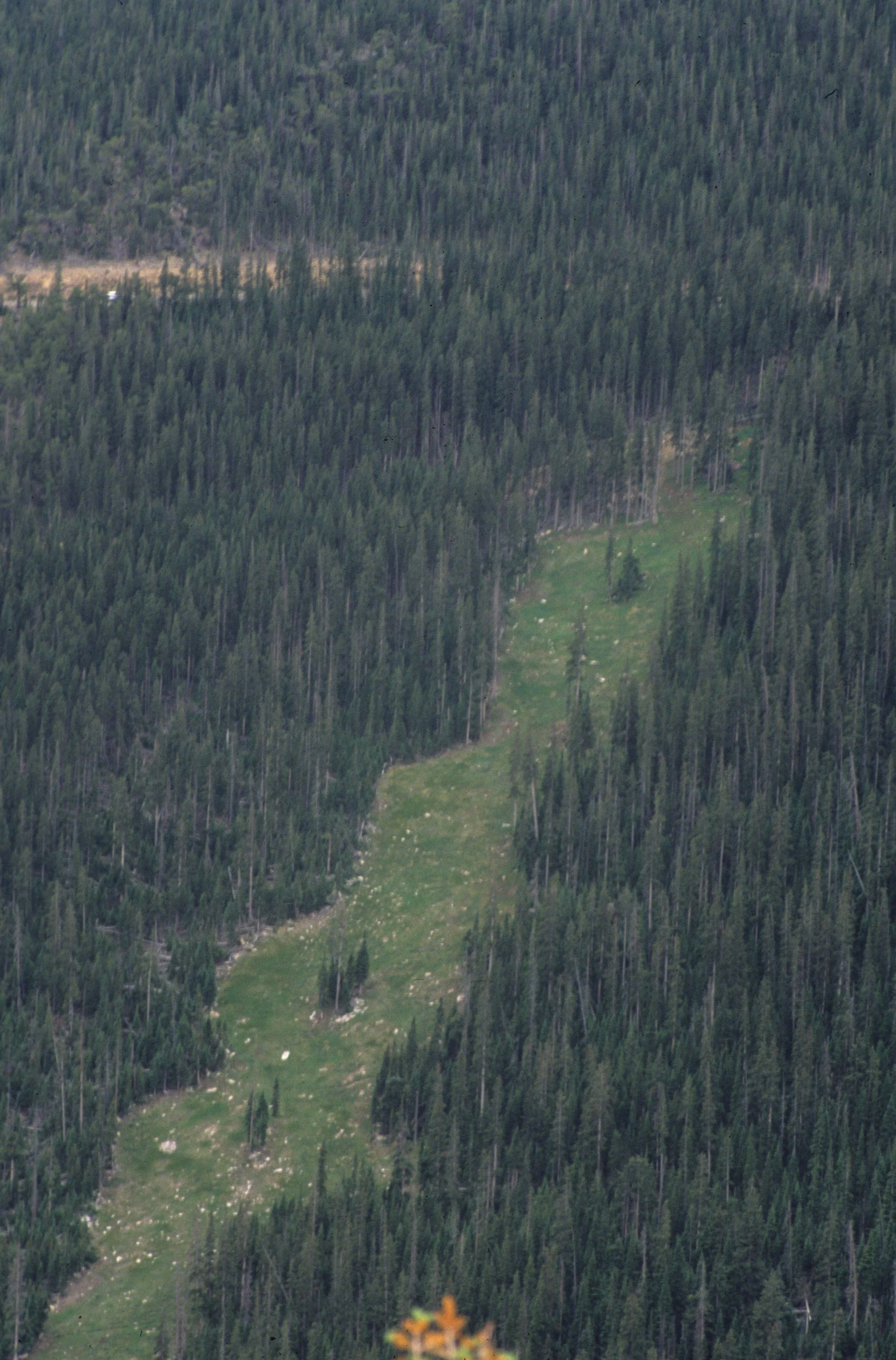 COLORADO - ROCKIES NATIONAL PARK - LAND SLIDE SCAR.jpg
