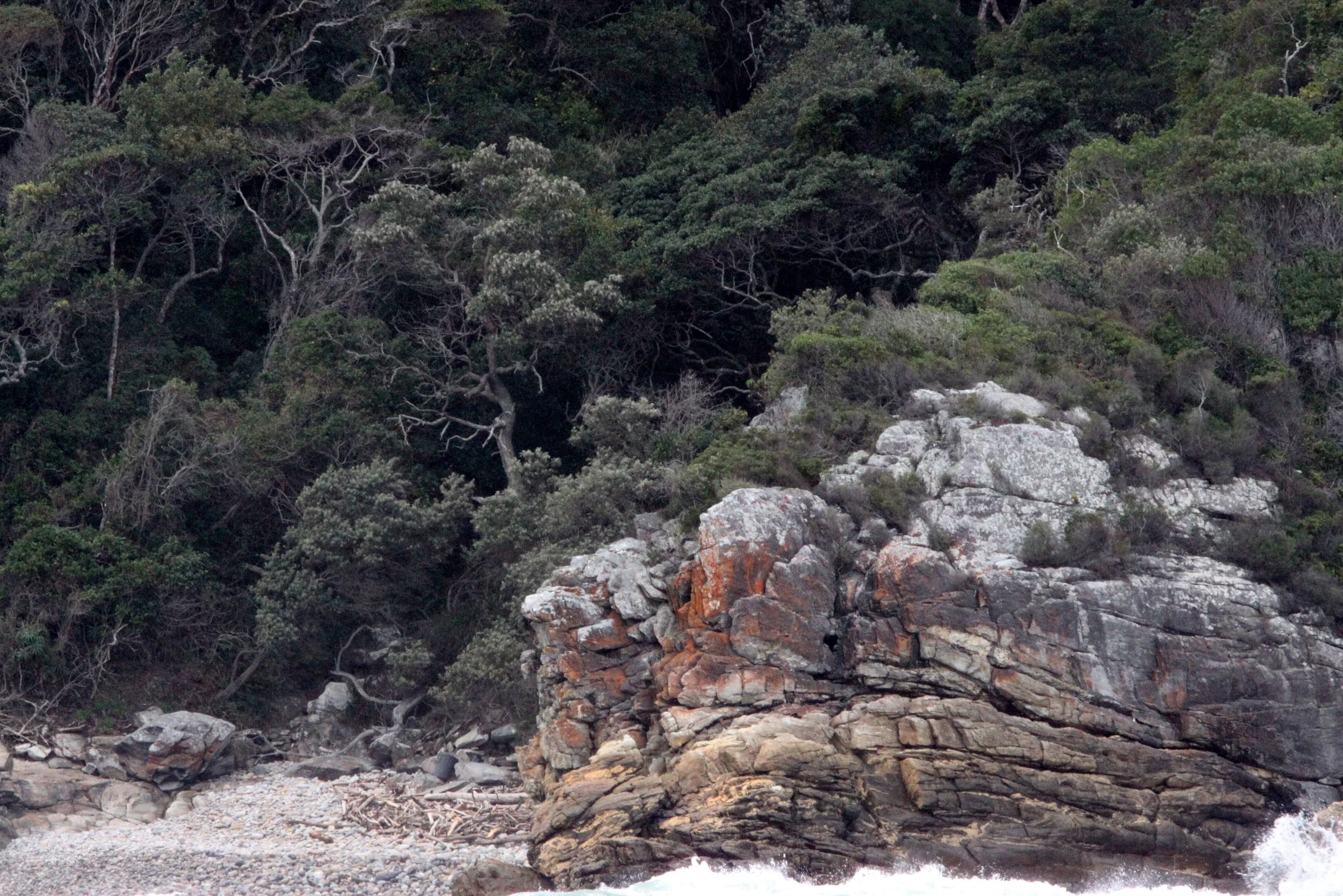TSITSIKAMMA NATIONAL PARK SOUTH AFRICA - COASTLINE.JPG