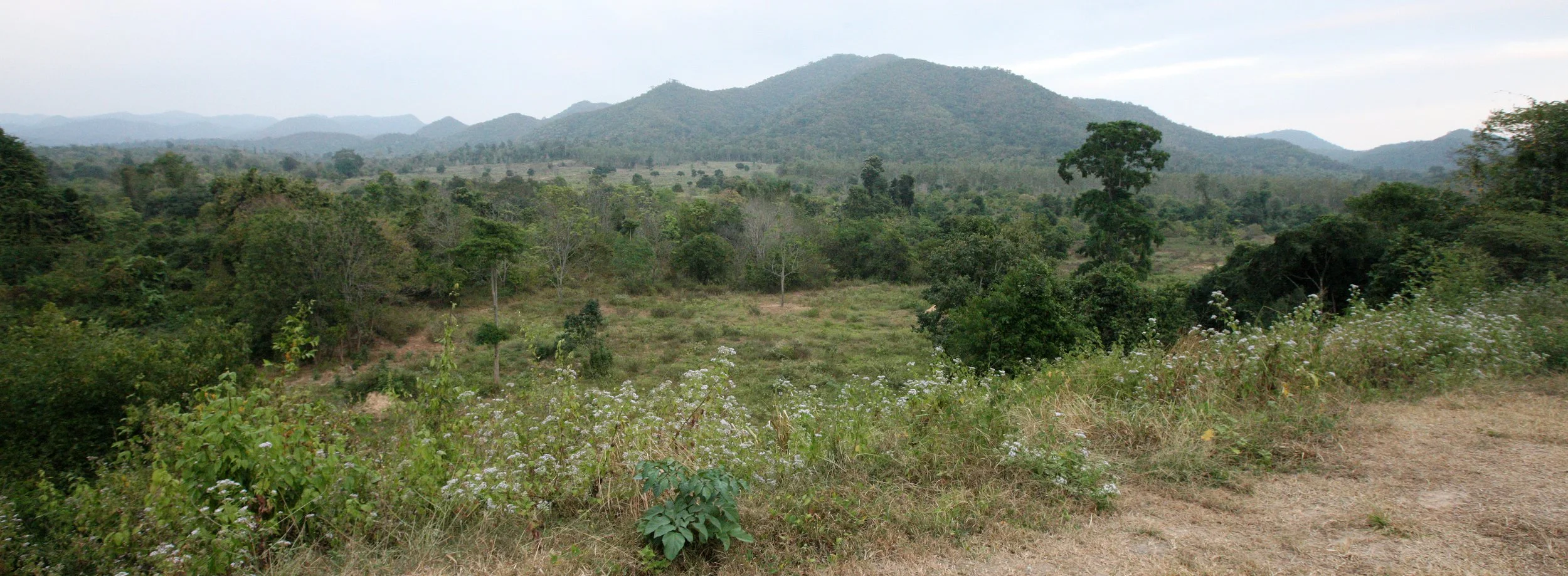 2008 Khao Luang NP Krung Chin Waterfalls Area (29).JPG