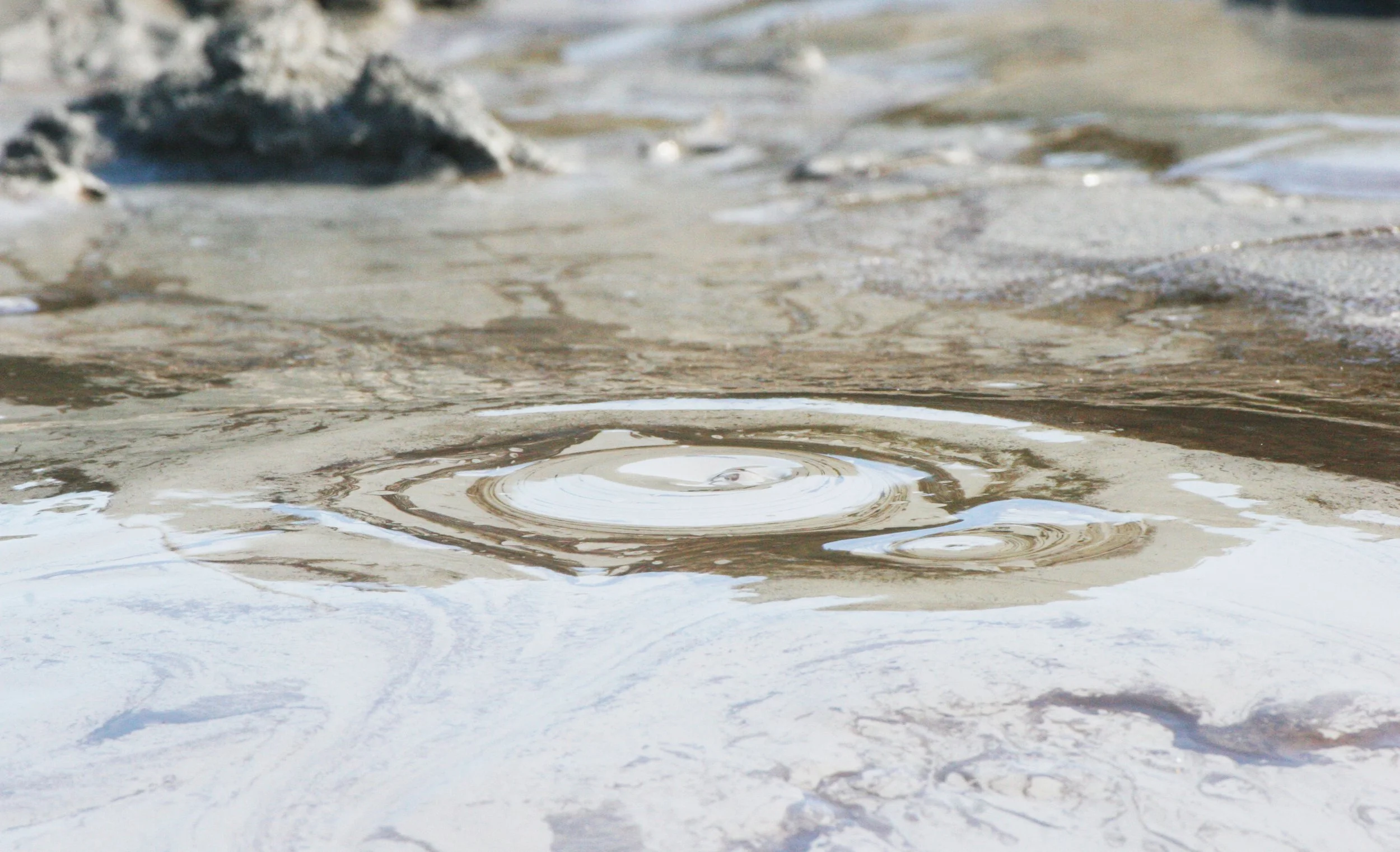 TABIN WILDLIFE RESERVE BORNEO - MUD VOLCANOES (22).JPG