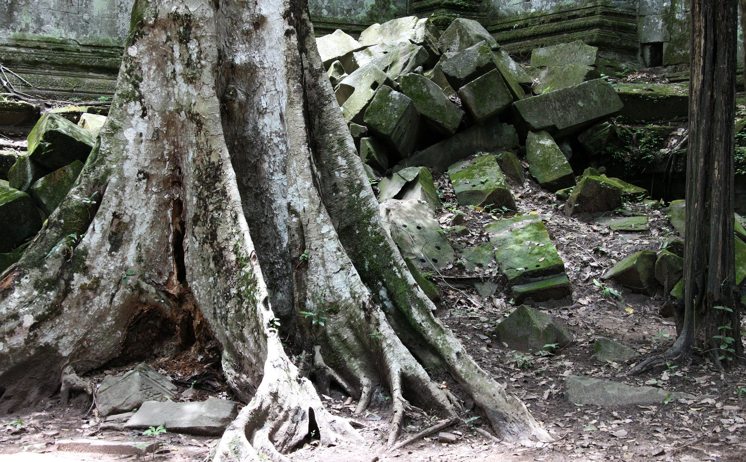 BENG MEALEA - CAMBODIA - JULY 2010 (50).JPG
