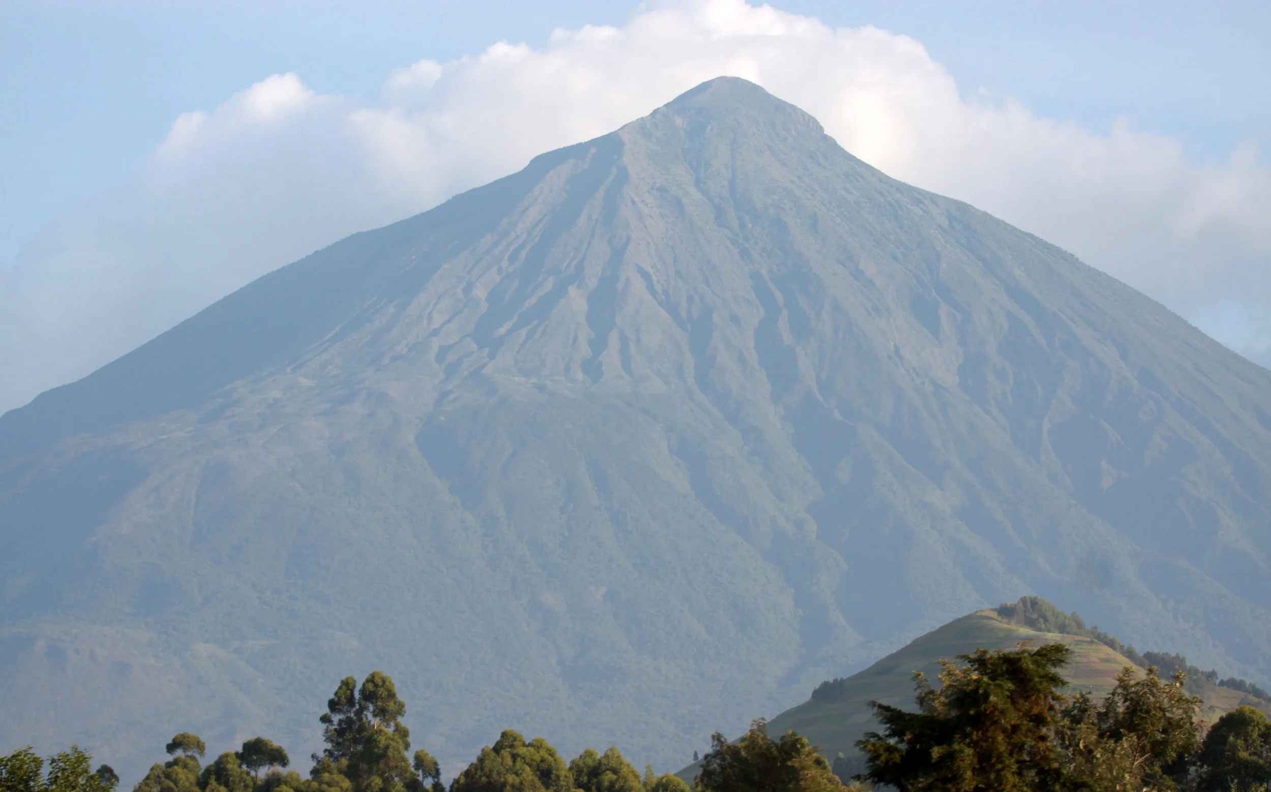 PARC DU VULCANS RWANDA (2).JPG