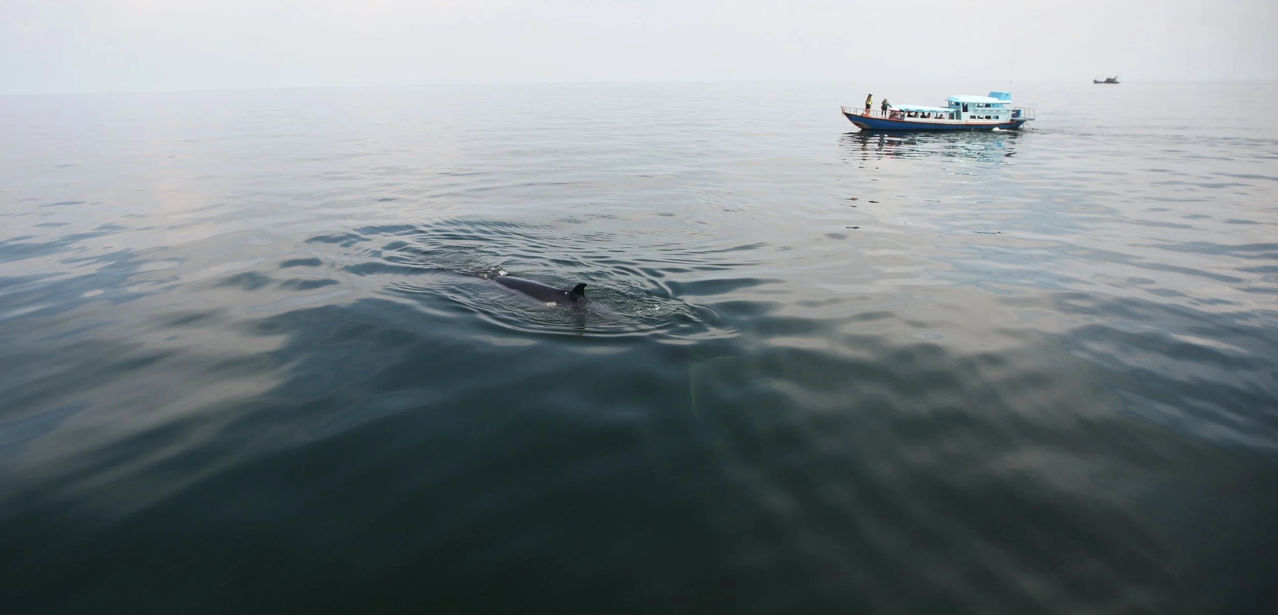 2014 Amphawa Trip to See Whales from Baan Taboon (51).JPG