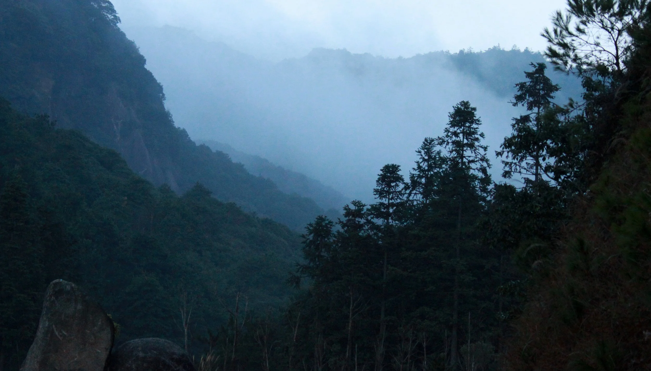 MEIHUASHAN - FUJIAN CHINA (51).JPG