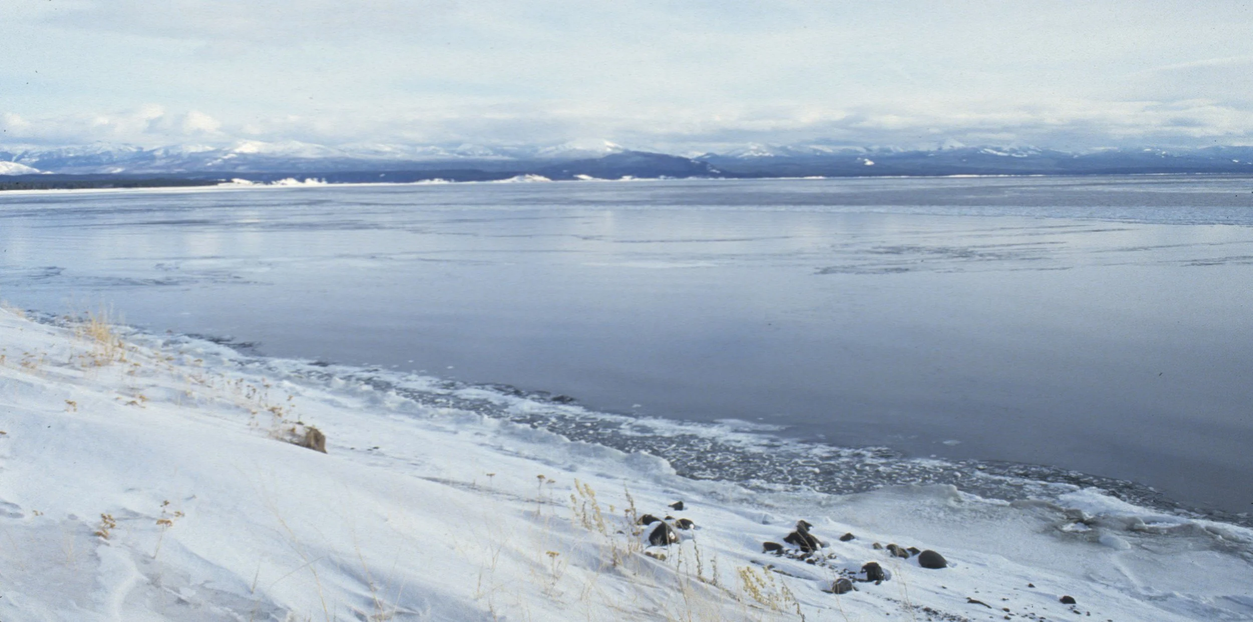 YELLOWSTONE IN WINTER - YELLOWSTONE LAKE C.jpg