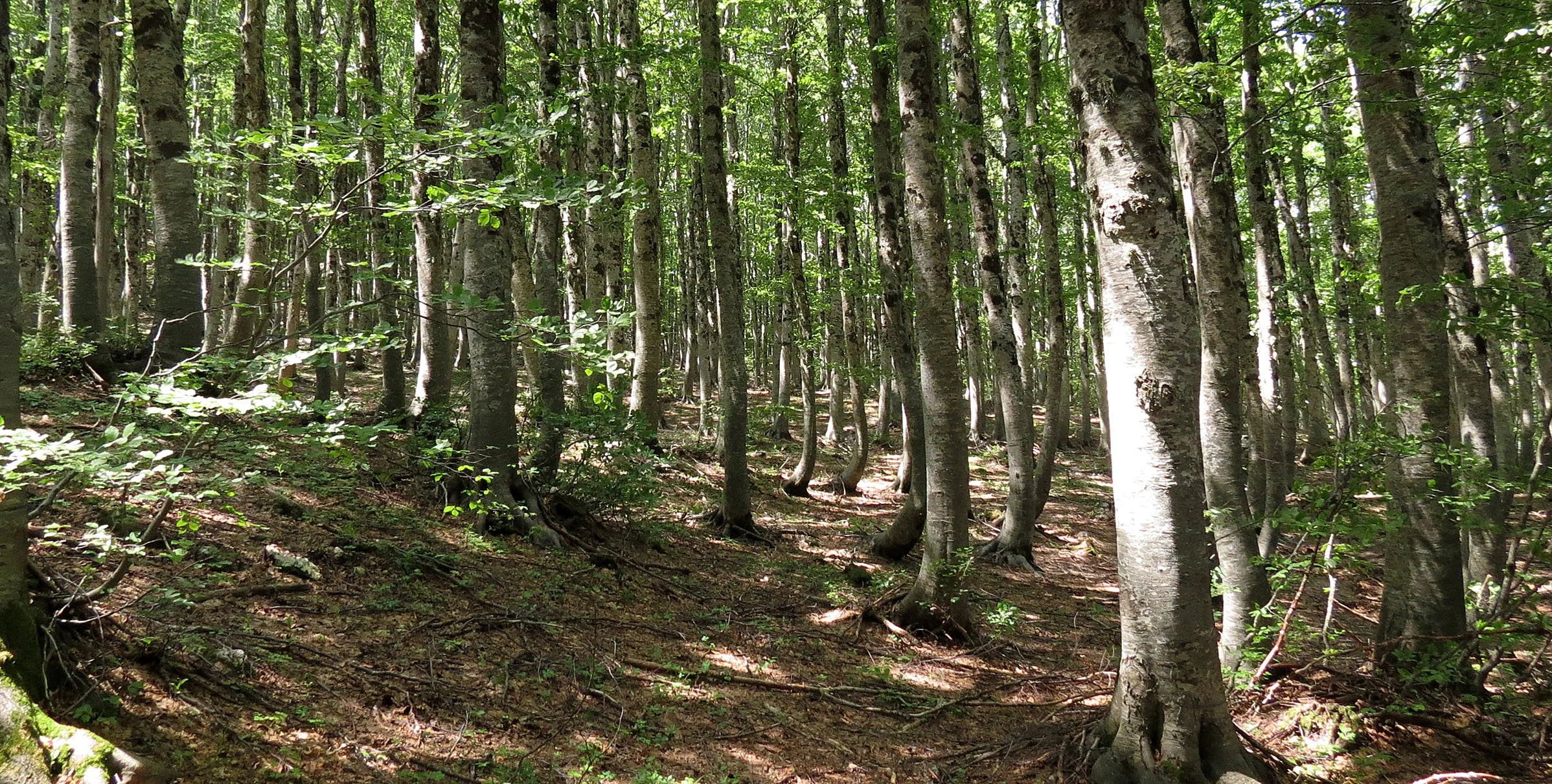 ABRUZZO NATIONAL PARK ITALY (41).JPG