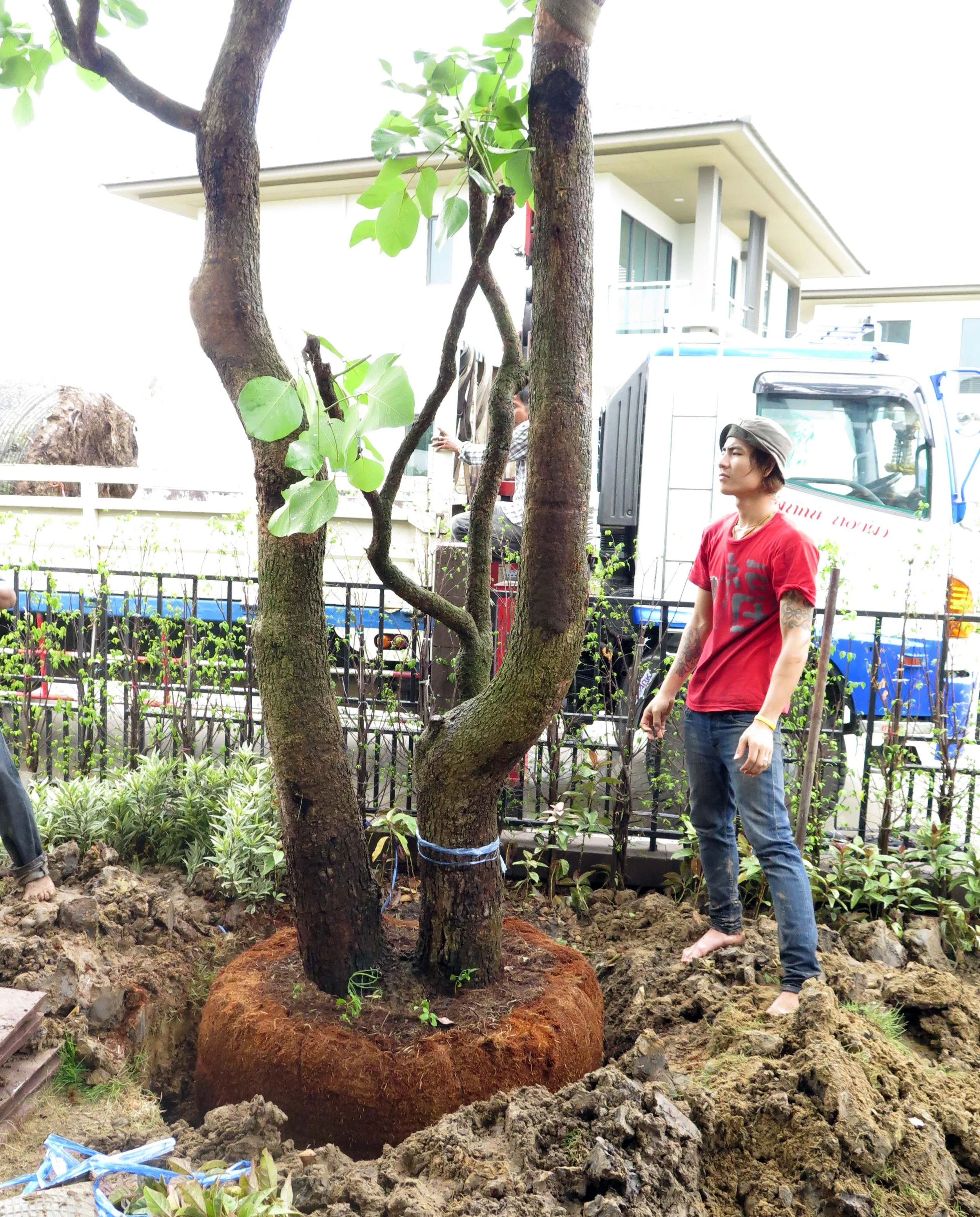 2013 Nonthaburi Setthasiri House and Nonthaburi Neighborhood (27).JPG