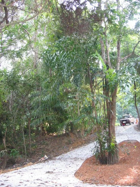 KOH LANTA - PROPERTY - 2005 (56).jpg
